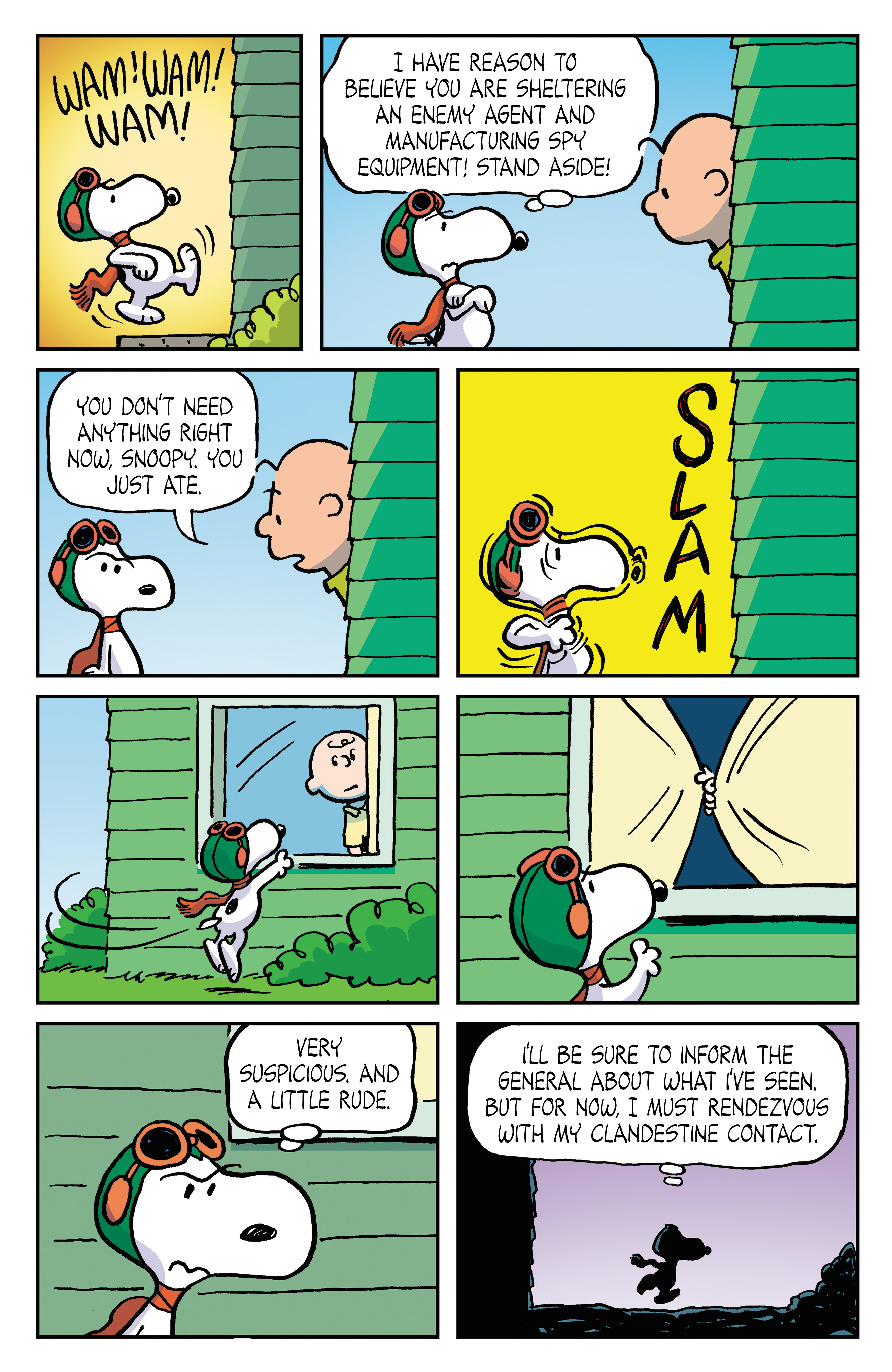 Read online Peanuts: Where Beagles Dare! comic -  Issue # Full - 34