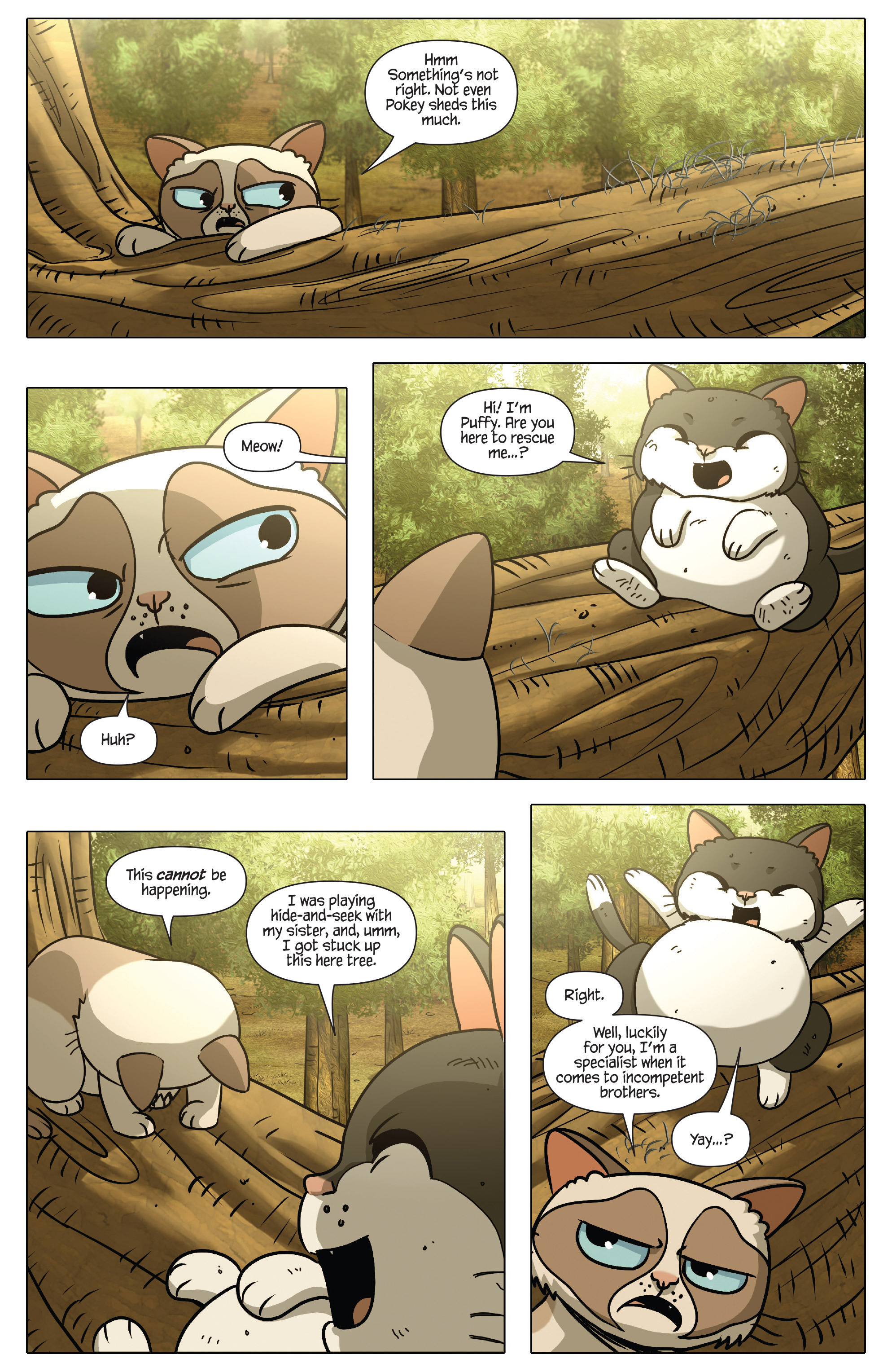 Read online Grumpy Cat & Pokey comic -  Issue #4 - 10