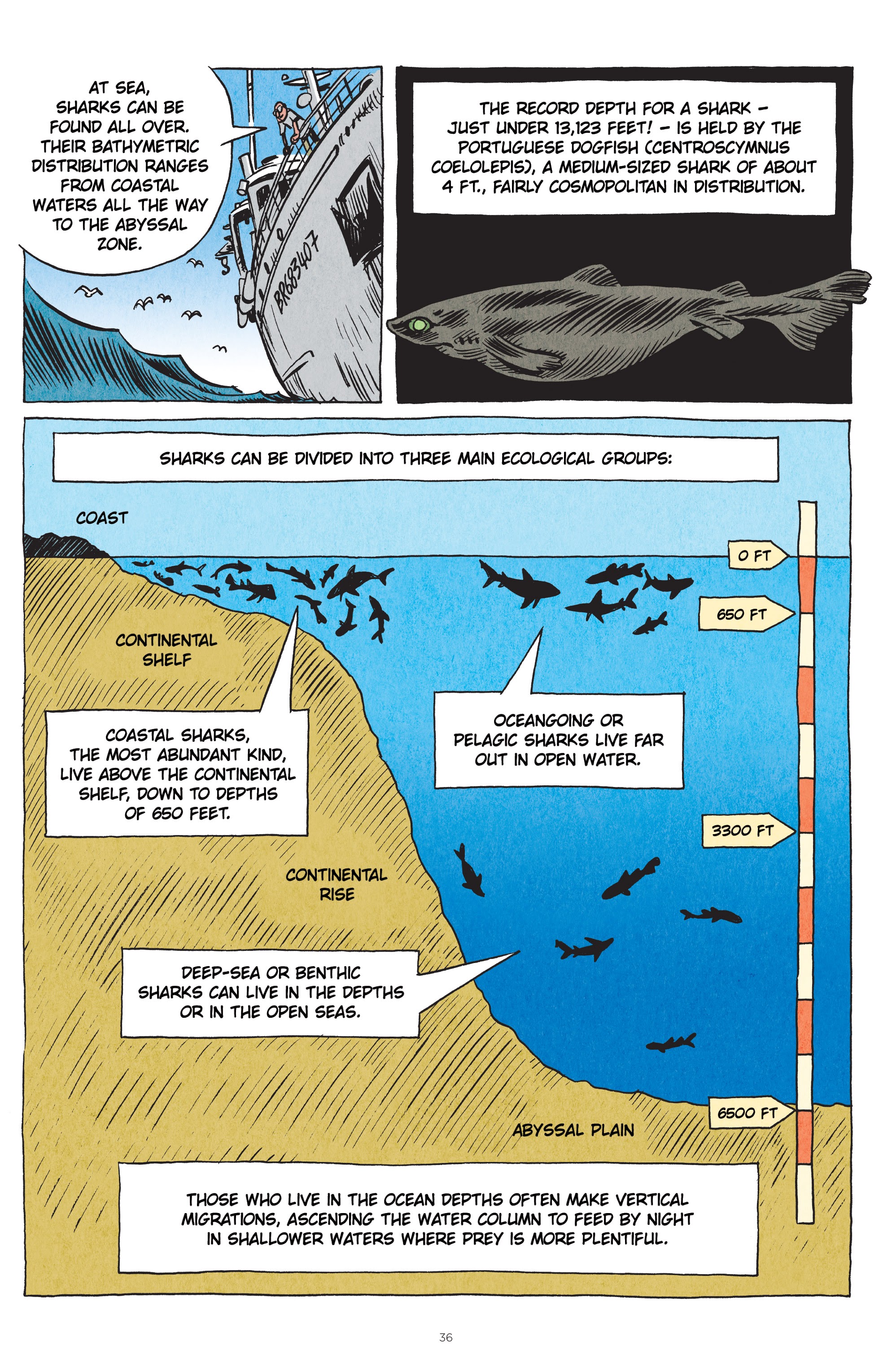 Read online Little Book of Knowledge: Sharks comic -  Issue # TPB - 36