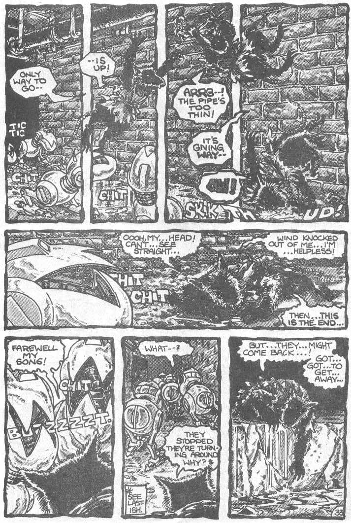 Teenage Mutant Ninja Turtles (1984) Issue #3 #3 - English 36