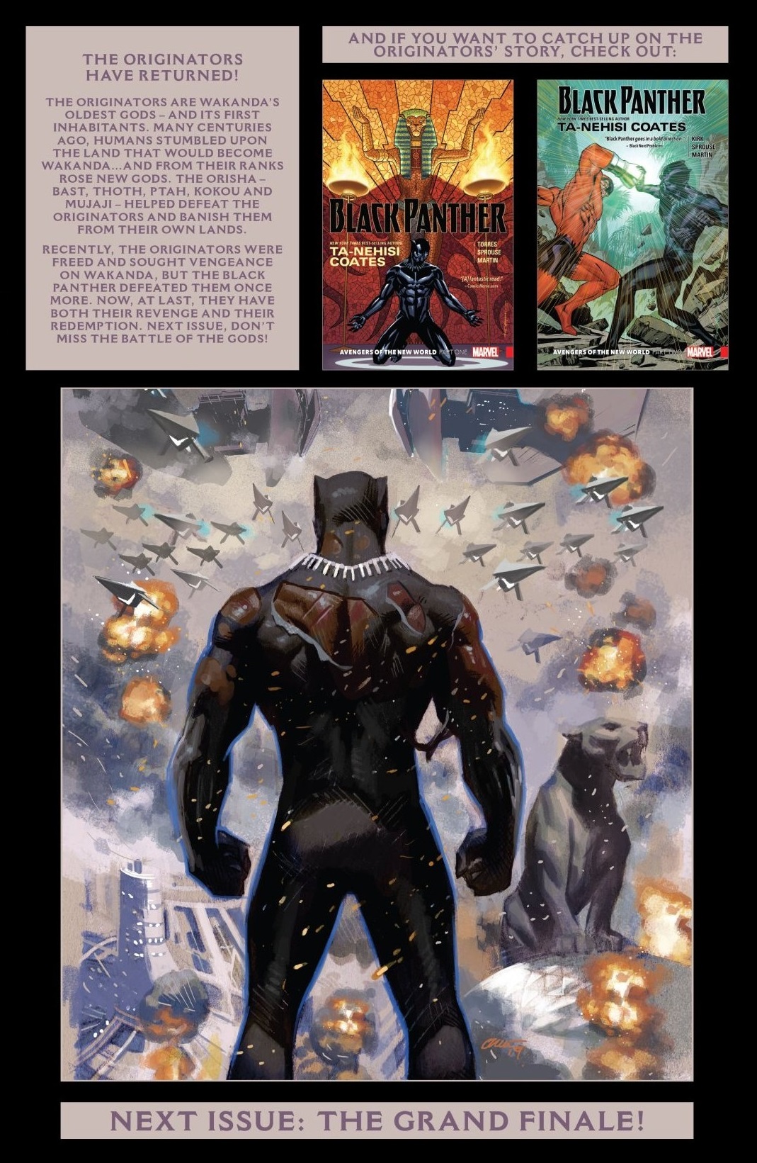 Read online Black Panther (2018) comic -  Issue #24 - 23
