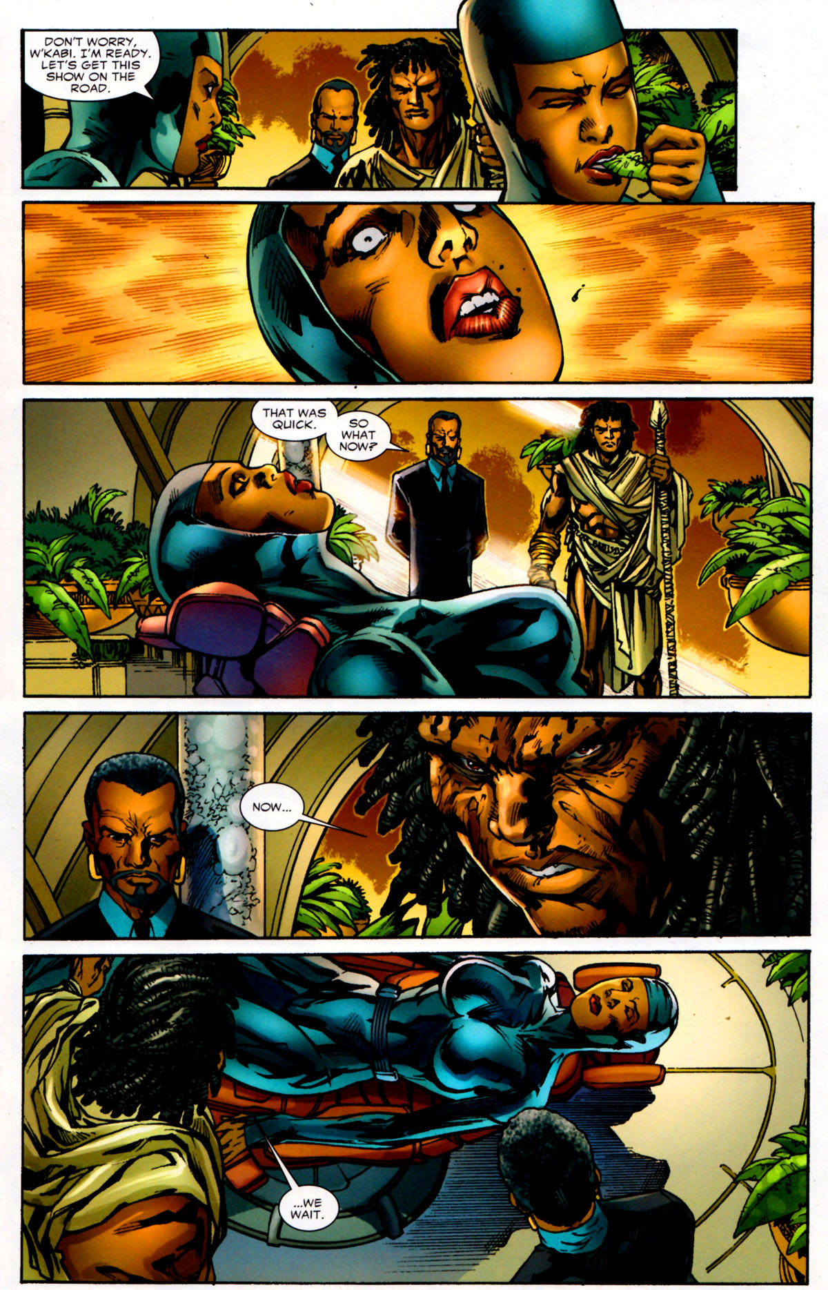 Read online Black Panther (2009) comic -  Issue #4 - 15