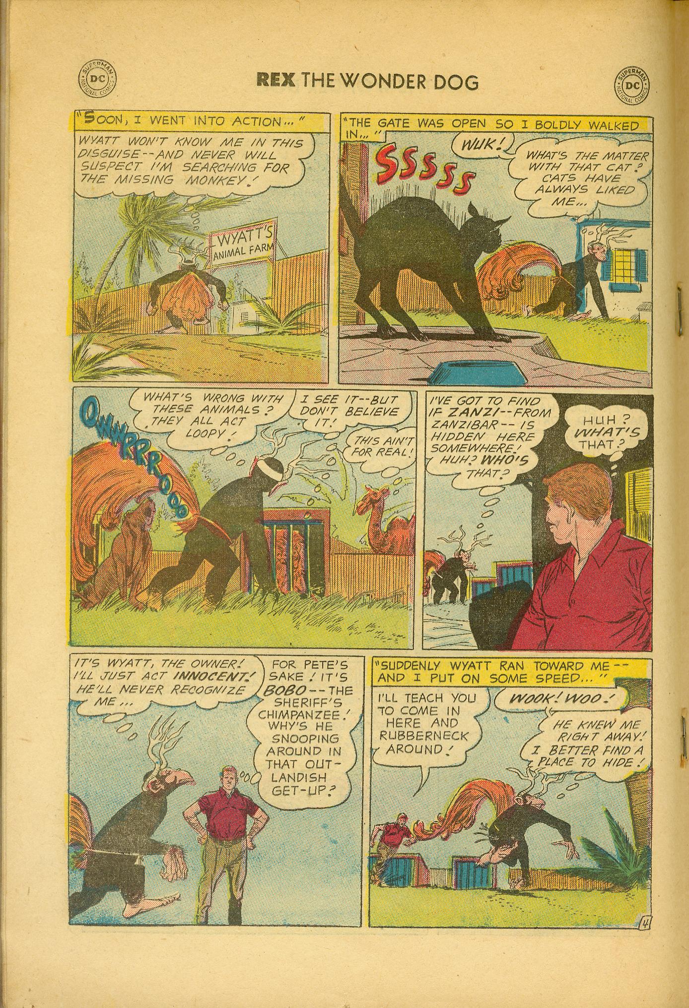 Read online The Adventures of Rex the Wonder Dog comic -  Issue #33 - 18