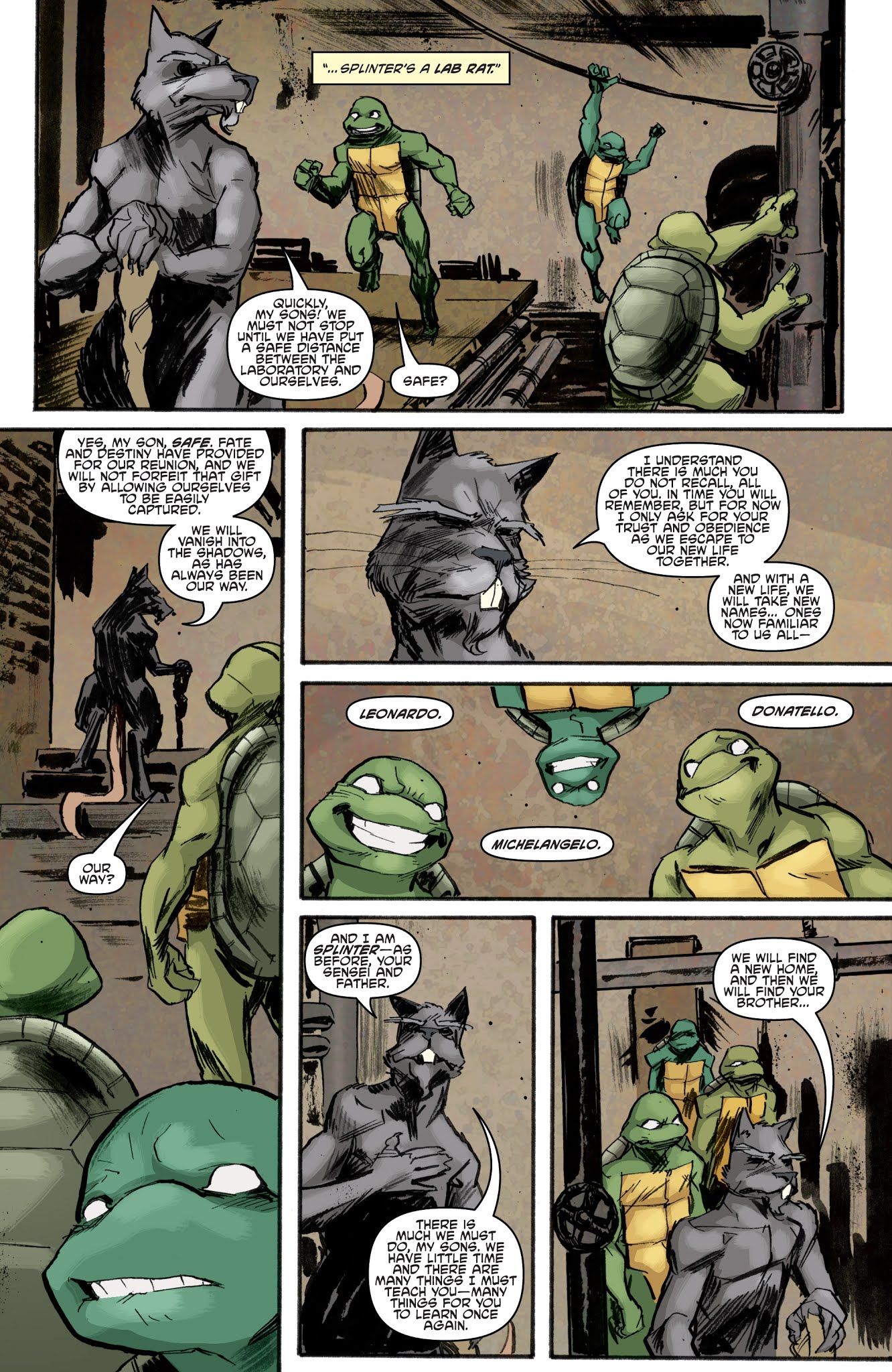Read online Teenage Mutant Ninja Turtles: The IDW Collection comic -  Issue # TPB 1 (Part 1) - 85