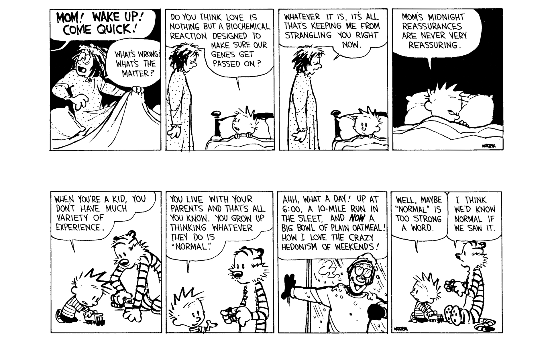 Read online Calvin and Hobbes comic -  Issue #9 - 76