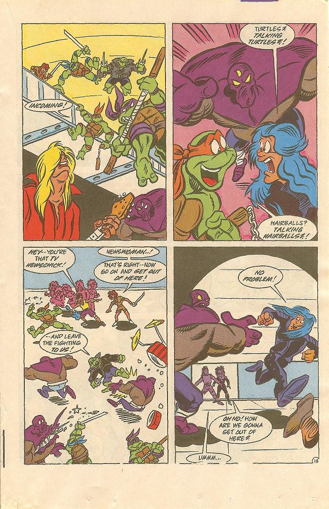 Read online Teenage Mutant Ninja Turtles Adventures (1989) comic -  Issue #18 - 14