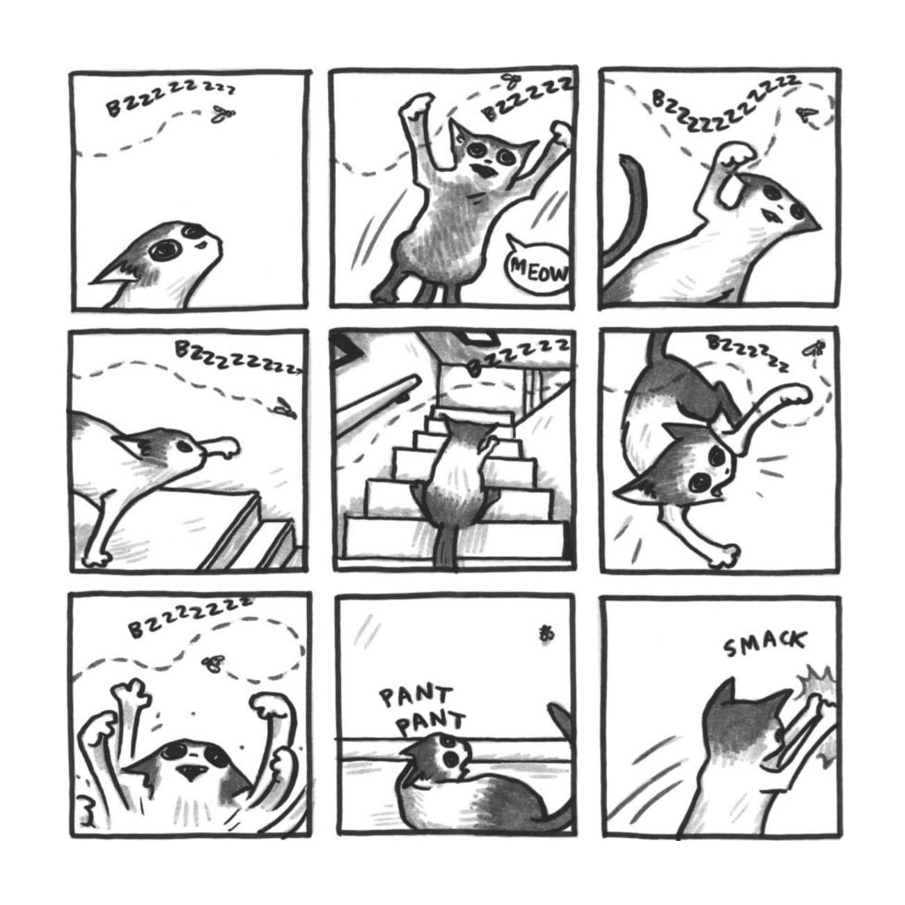 Read online Cats are Weird and More Observations comic -  Issue # TPB - 65