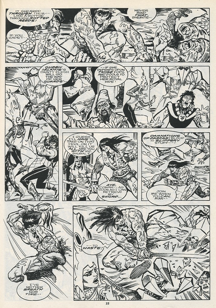 The Savage Sword Of Conan issue 217 - Page 37