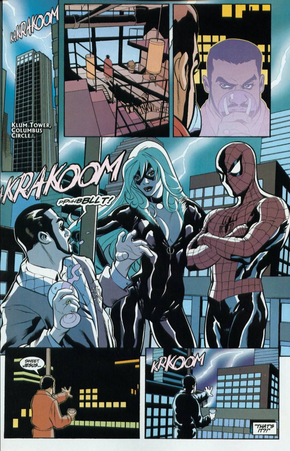 Read online Spider-Man/Black Cat: The Evil That Men Do comic -  Issue #3 - 11