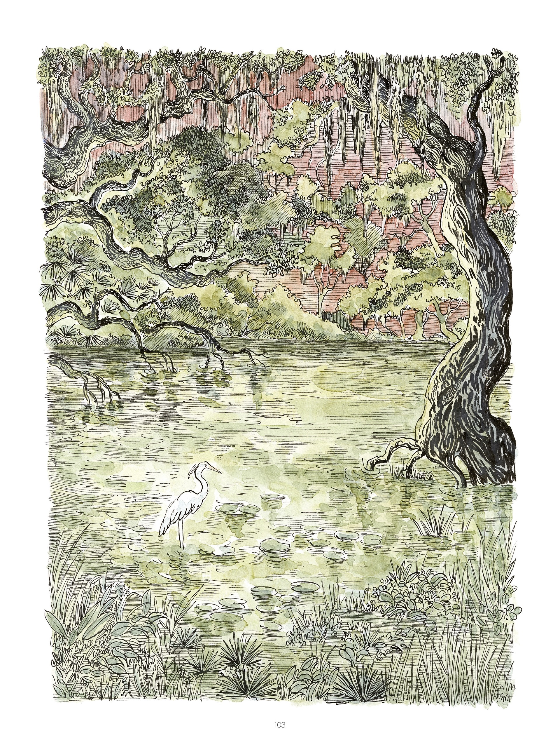 Read online Swamp: A Summer in the Bayou comic -  Issue # TPB (Part 2) - 5