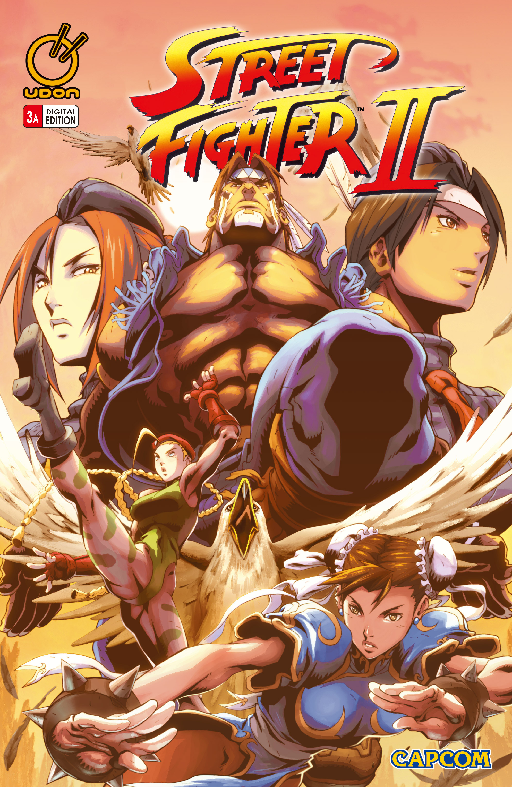 Read online Street Fighter II comic -  Issue #3 - 1