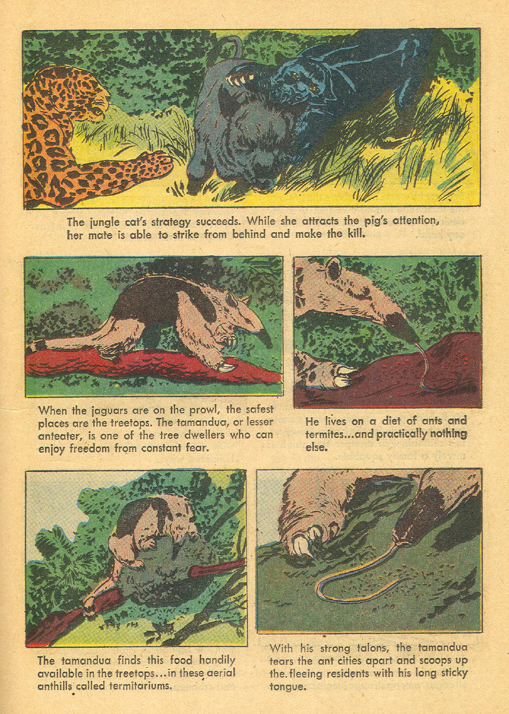 Read online Four Color Comics comic -  Issue #1136 - 23