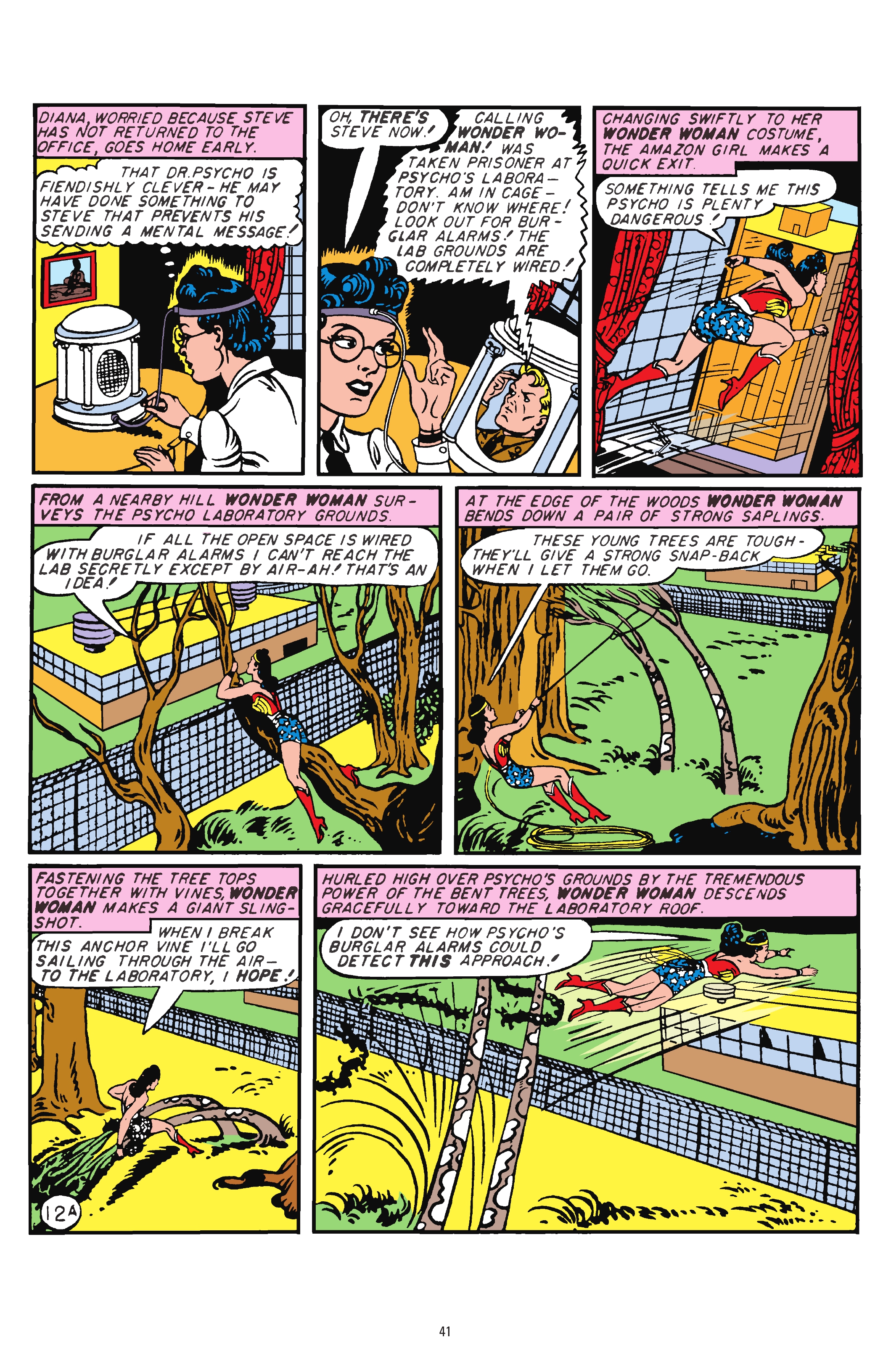 Read online Wonder Woman: 80 Years of the Amazon Warrior: The Deluxe Edition comic -  Issue # TPB (Part 1) - 43