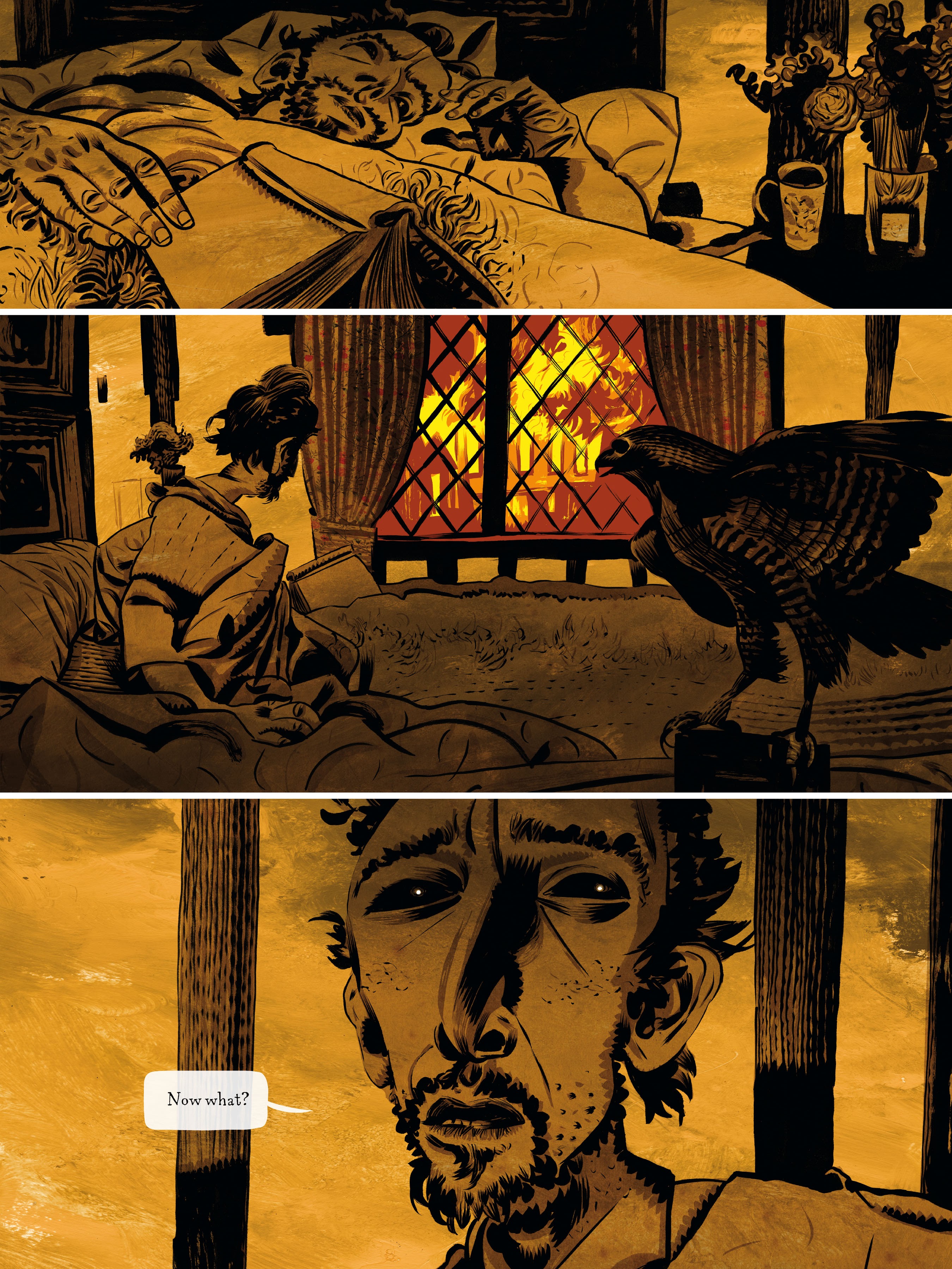 Read online Raptor: A Sokol Graphic Novel comic -  Issue # TPB - 81