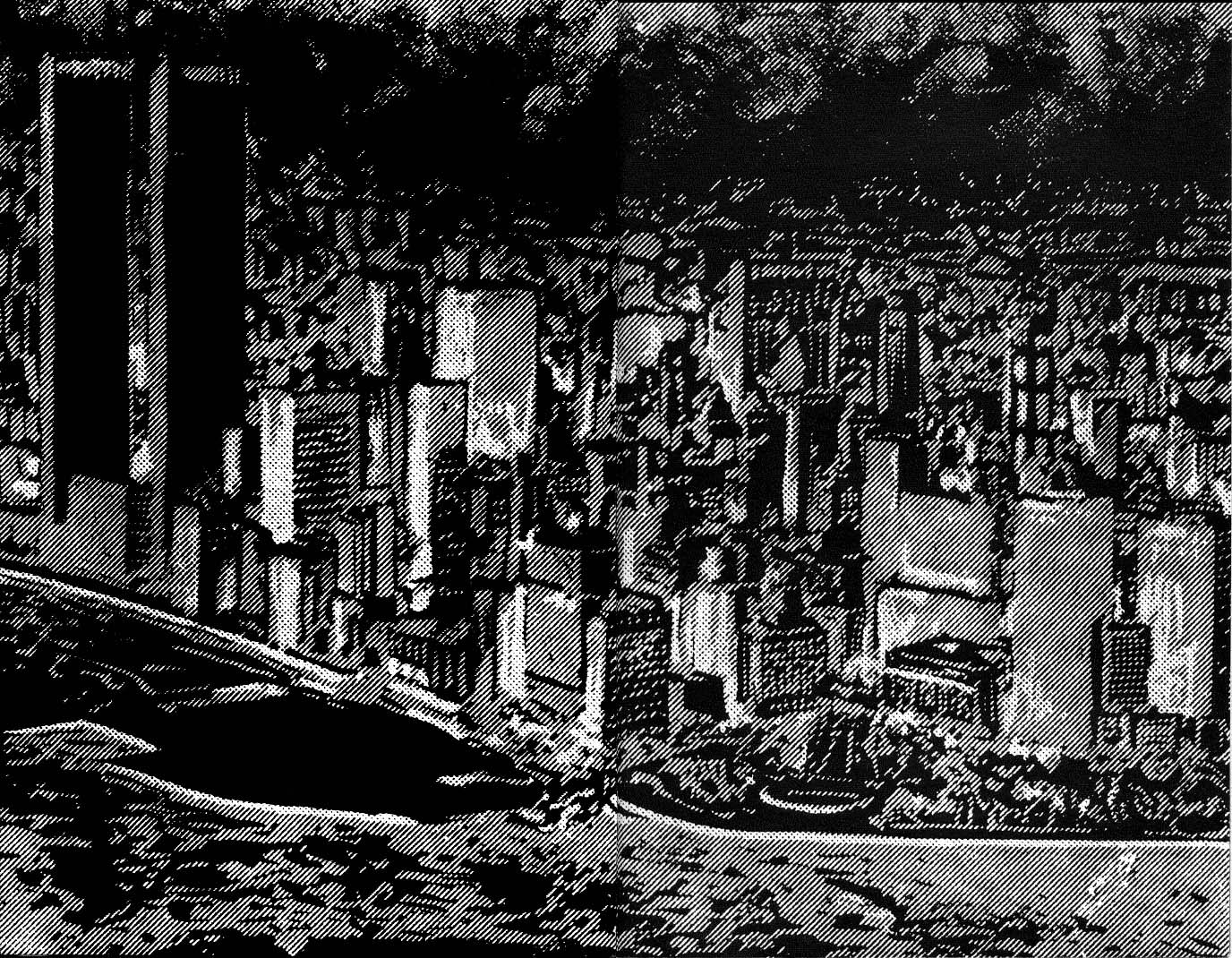 Read online Teenage Mutant Ninja Turtles (1984) comic -  Issue #20 - 3