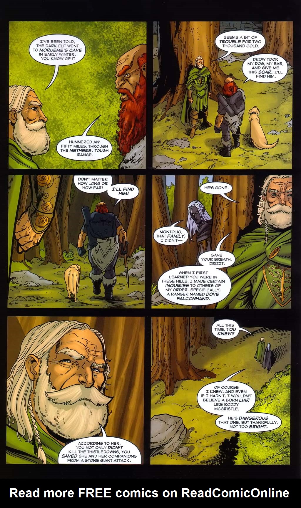 Read online Forgotten Realms: Sojourn comic -  Issue #2 - 38