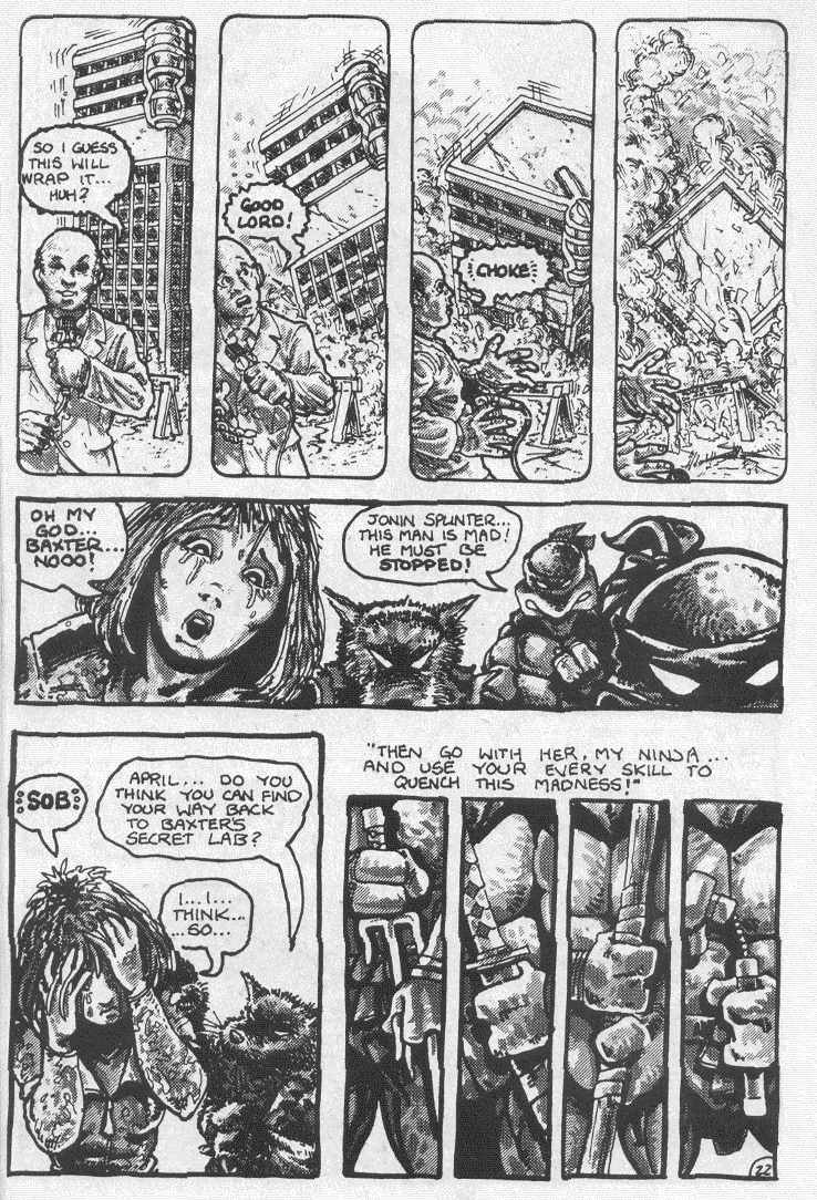 Teenage Mutant Ninja Turtles (1984) Issue #2 #2 - English 24