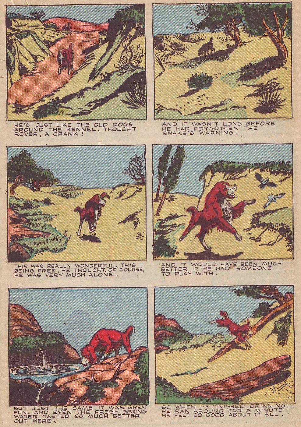 Read online Animal Comics comic -  Issue #20 - 25