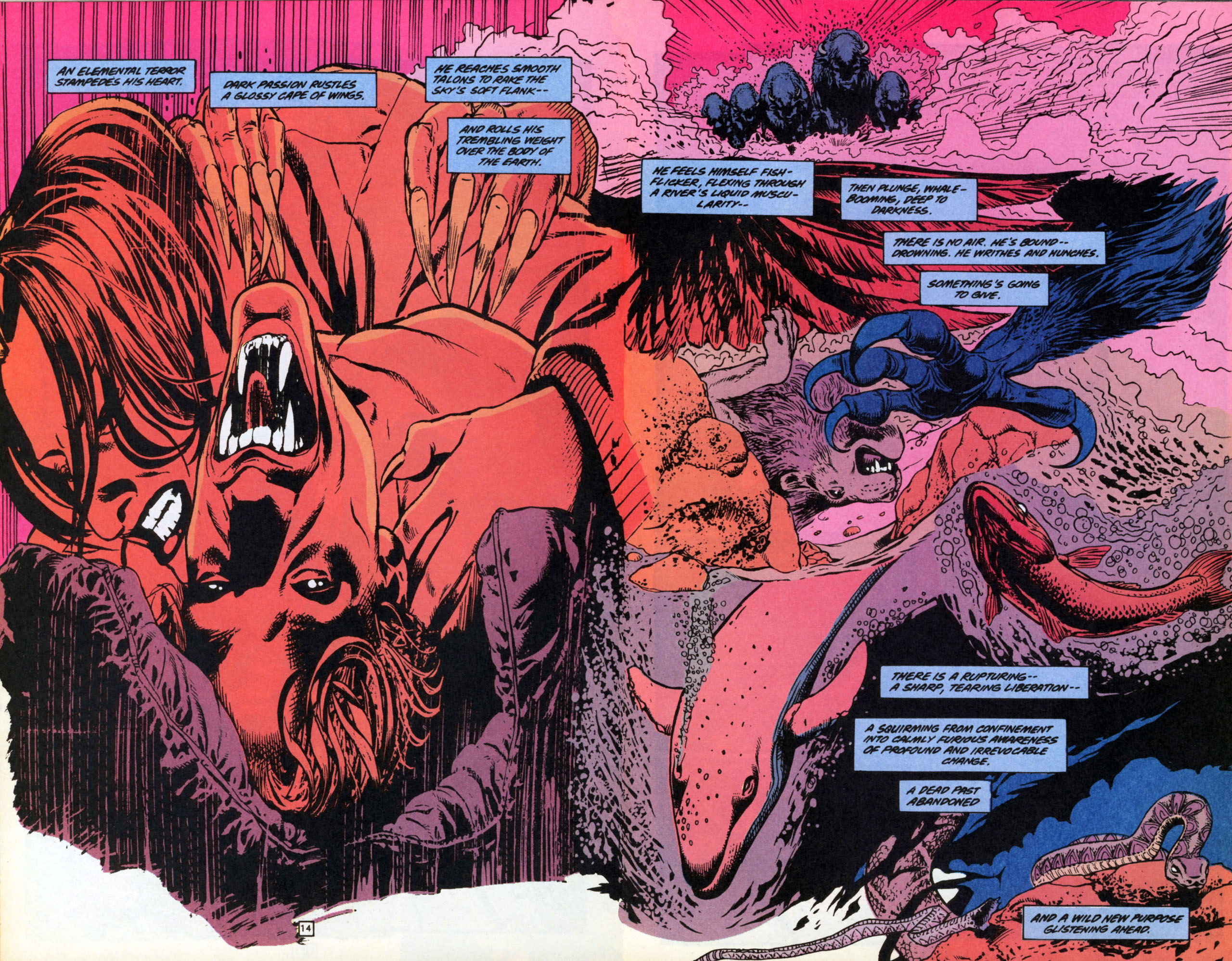 Read online Animal Man (1988) comic -  Issue #70 - 15