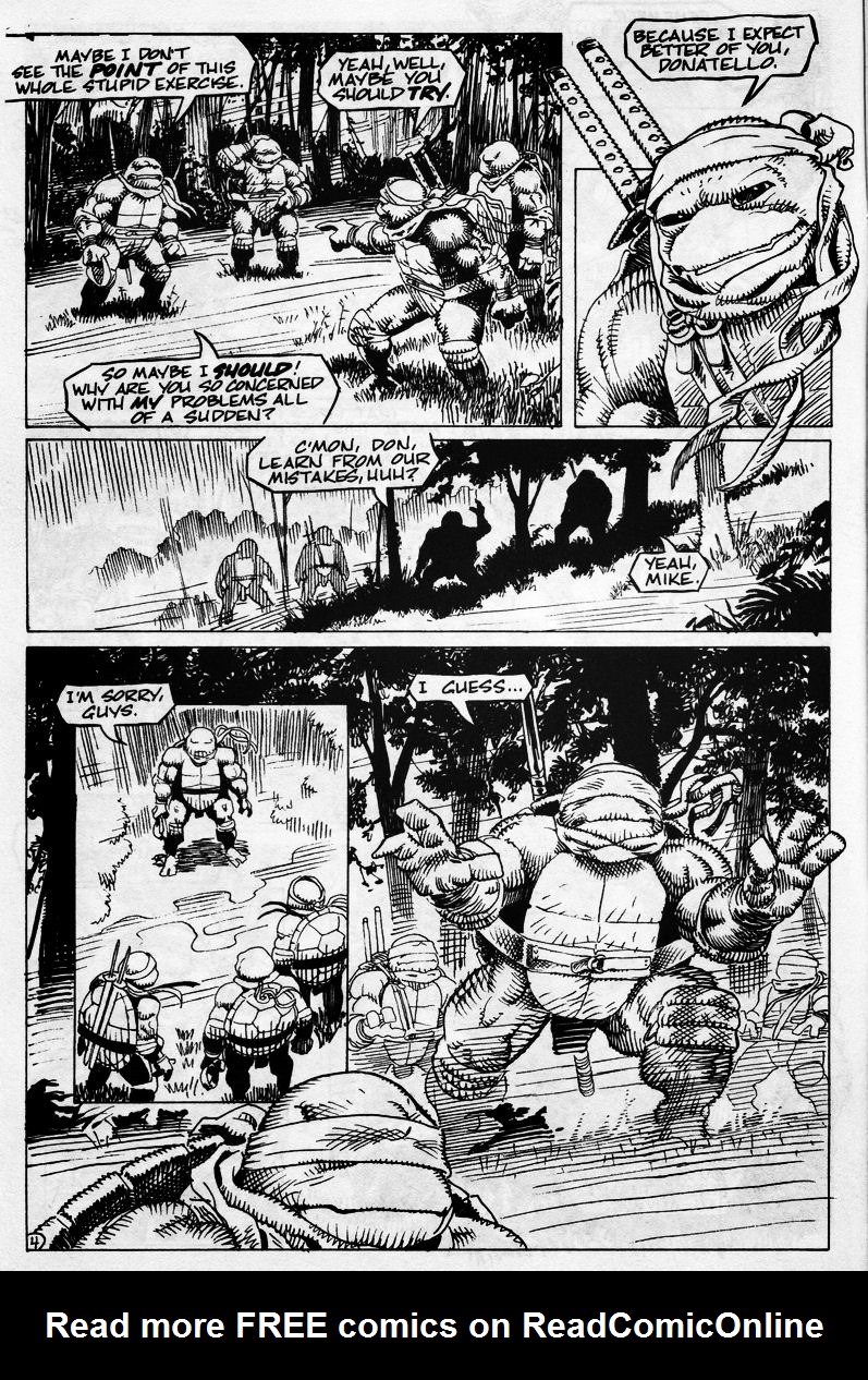 Read online Teenage Mutant Ninja Turtles (1984) comic -  Issue #43 - 6