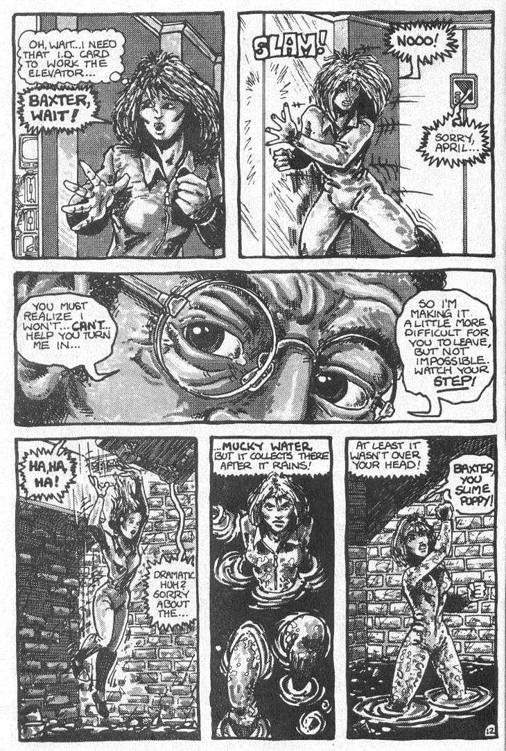 Read online Teenage Mutant Ninja Turtles (1984) comic -  Issue #2 - 14