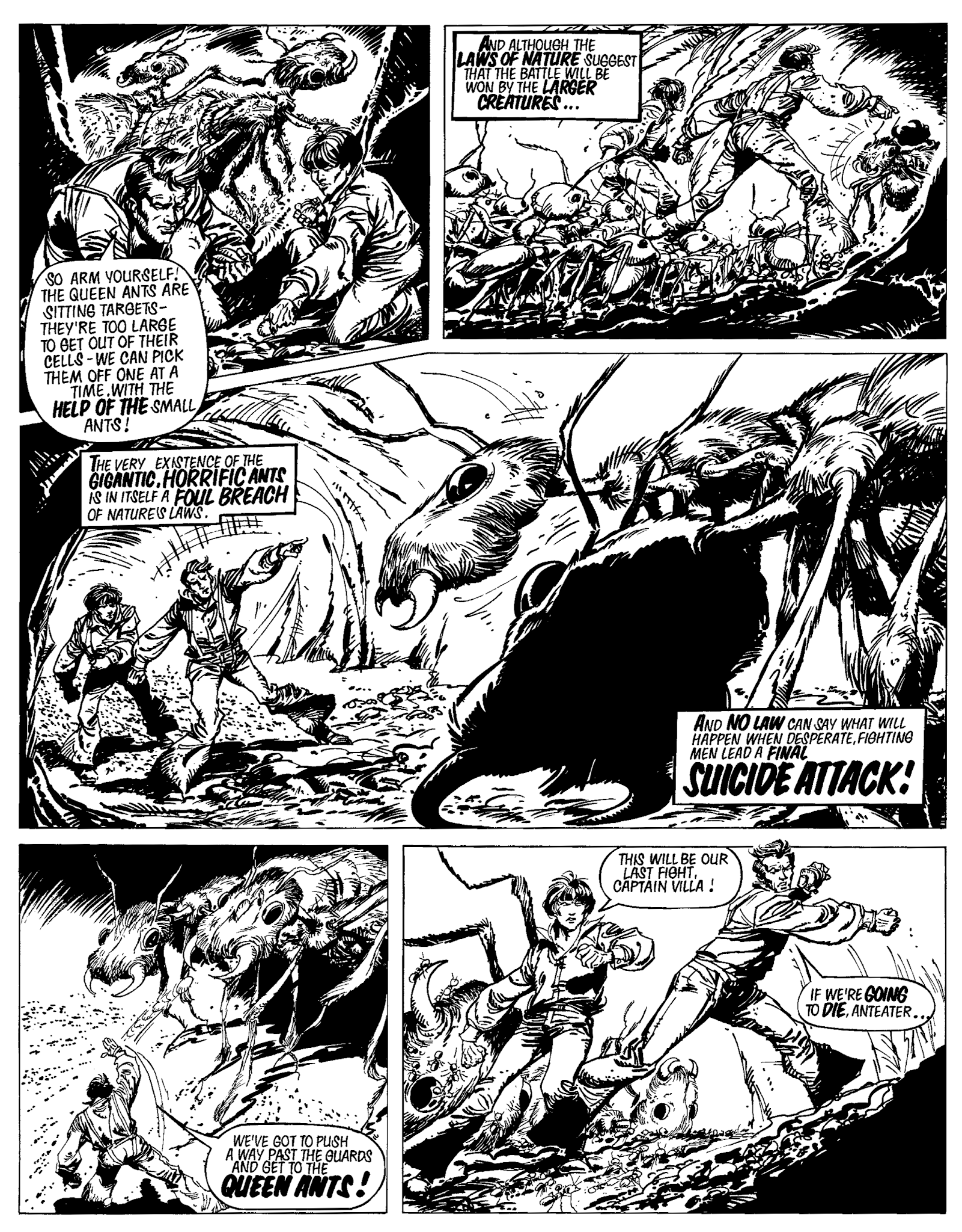 Read online Ant Wars comic -  Issue # TPB - 85