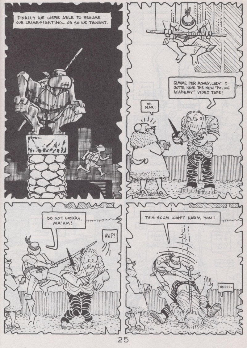 Teenage Mutant Ninja Turtles (1984) Issue #41 #41 - English 26