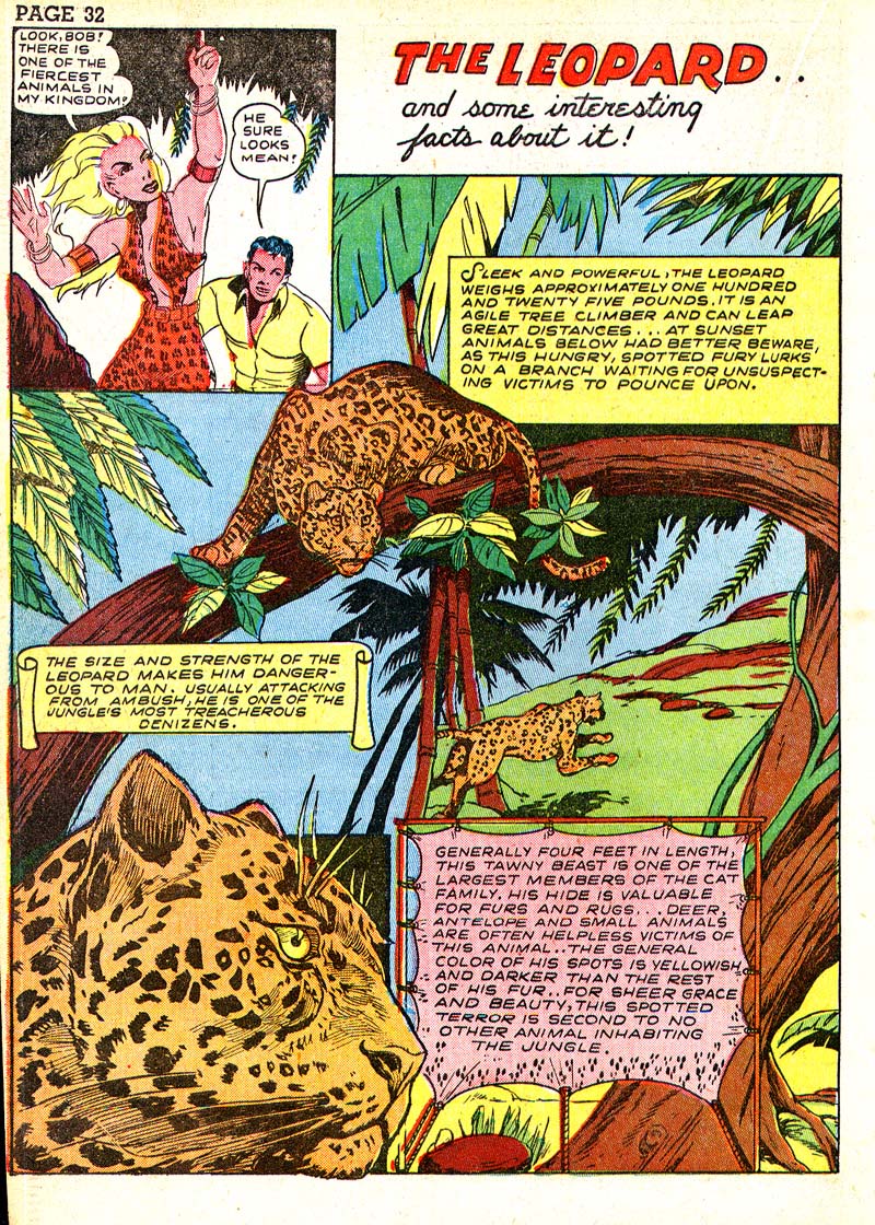 Read online Sheena, Queen of the Jungle (1942) comic -  Issue #3 - 35