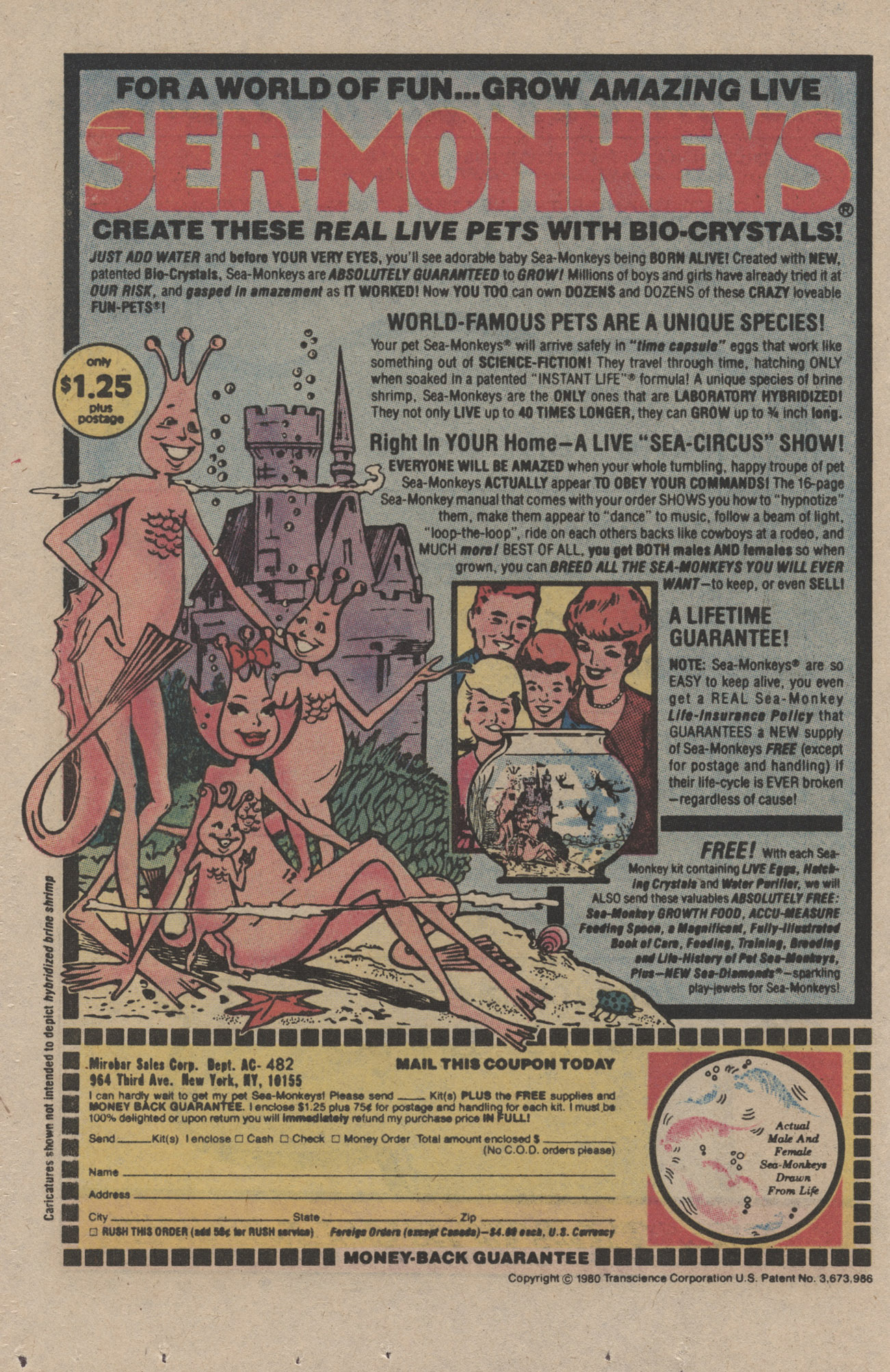 Read online Archie's Joke Book Magazine comic -  Issue #285 - 12