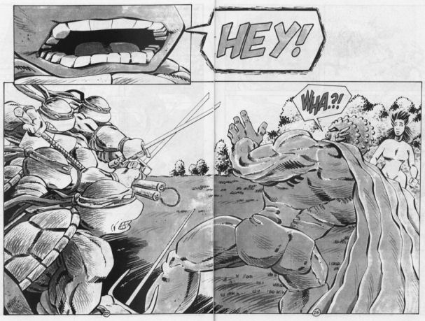 Read online Tales of the Teenage Mutant Ninja Turtles comic -  Issue #5 - 27