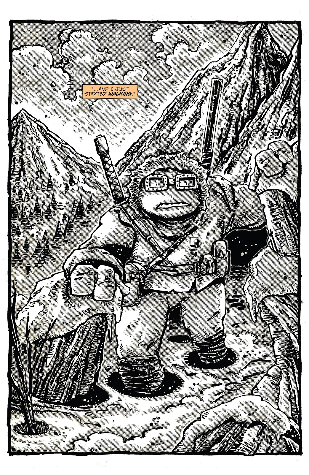 Teenage Mutant Ninja Turtles: The Last Ronin issue 4 - Page 26