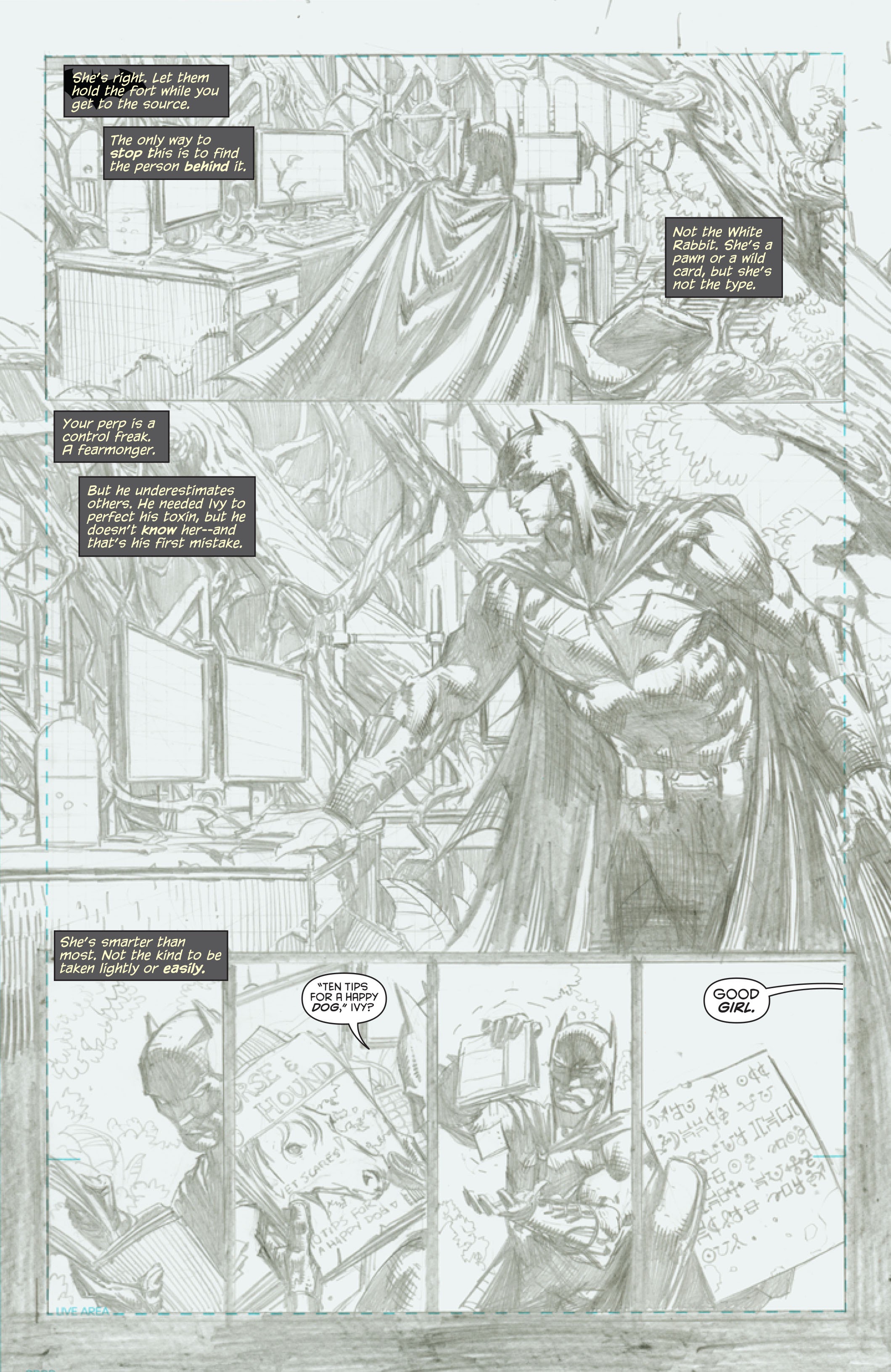 Read online Batman: The Dark Knight Unwrapped By David Finch Deluxe Edition comic -  Issue # TPB (Part 2) - 60