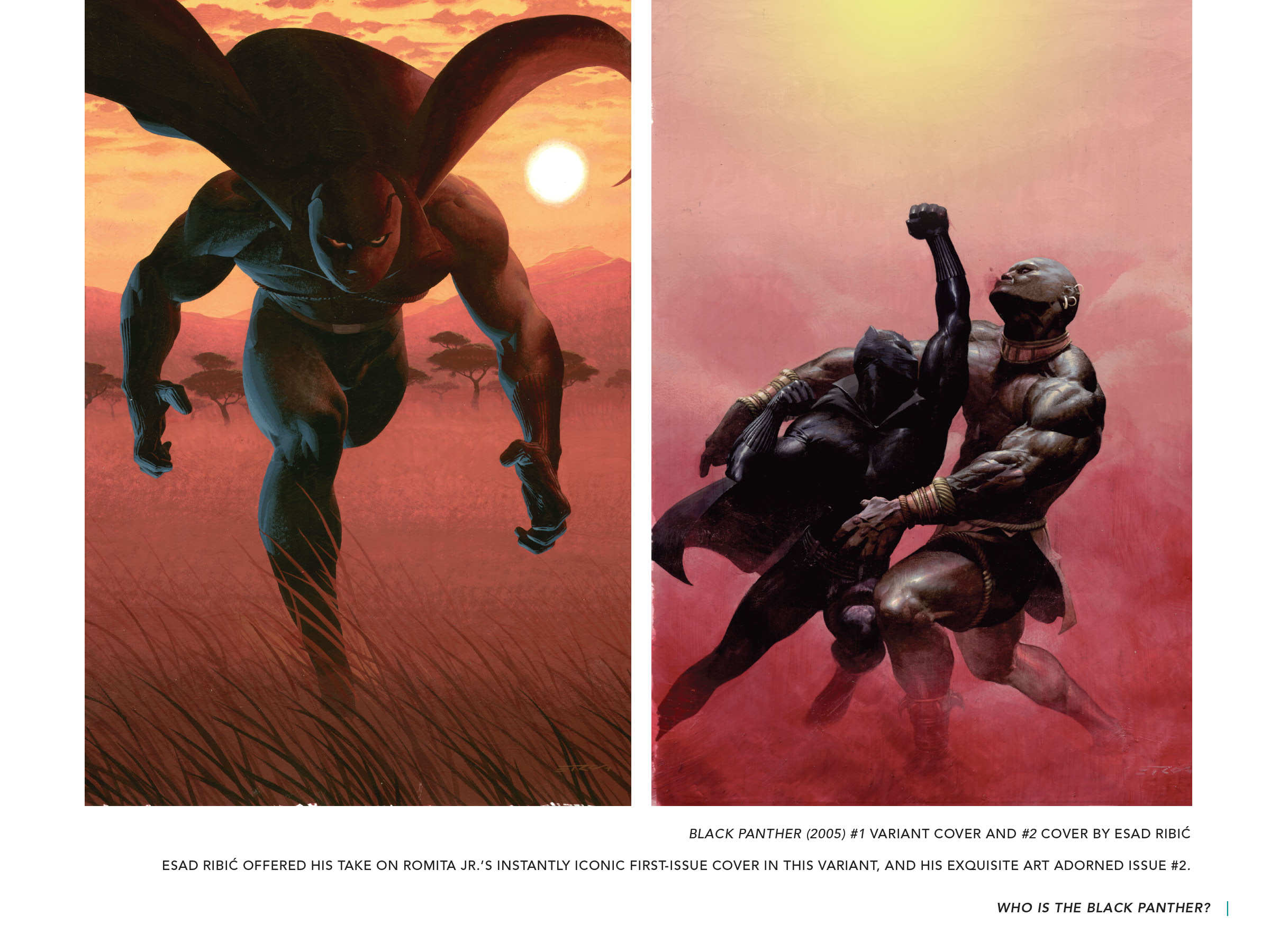 Read online Black Panther: Visions of Wakanda comic -  Issue # TPB (Part 2) - 97