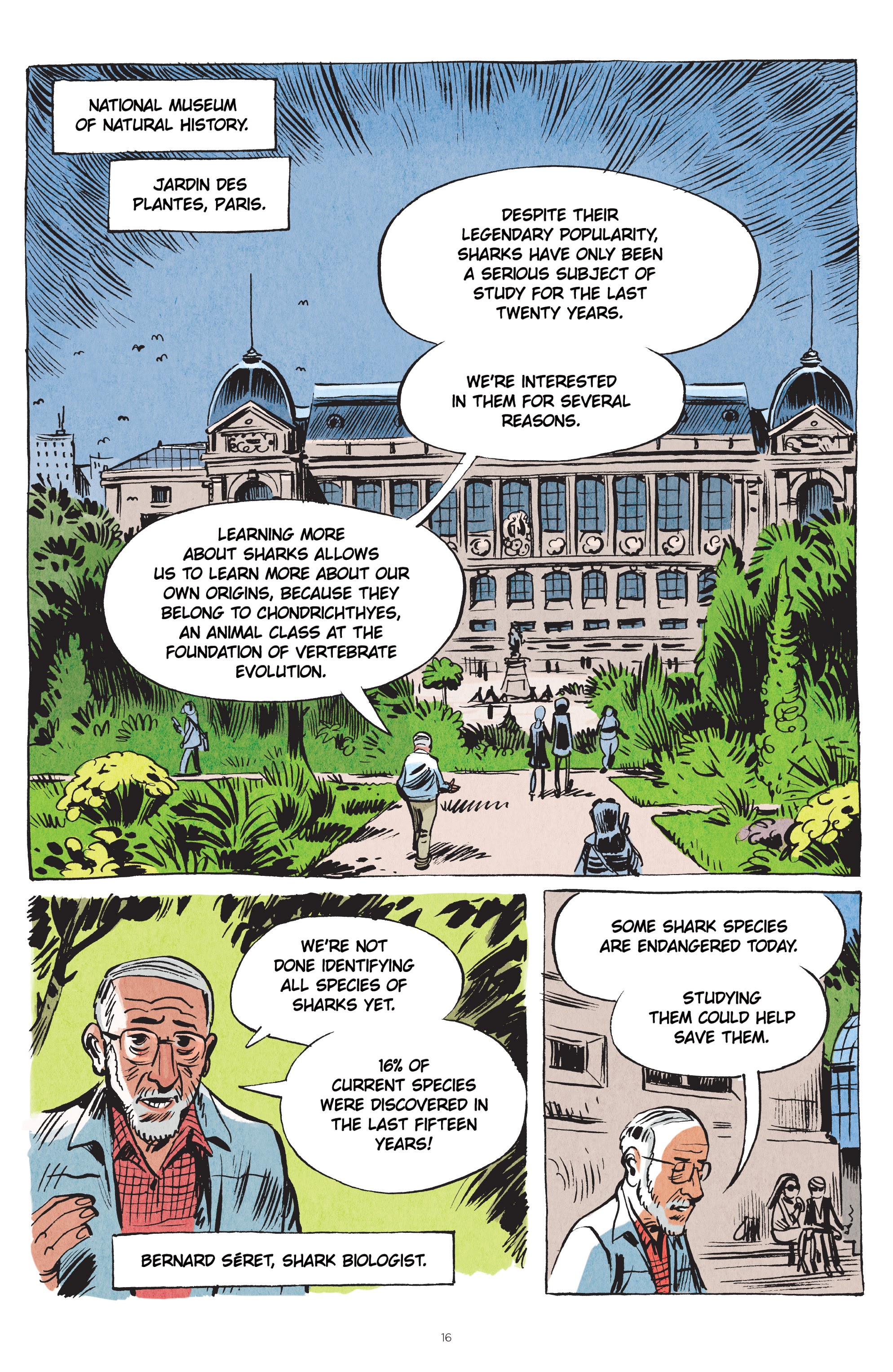 Read online Little Book of Knowledge: Sharks comic -  Issue # TPB - 16