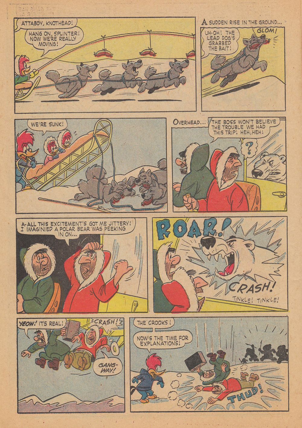 Read online Walter Lantz Woody Woodpecker (1952) comic -  Issue #67 - 14