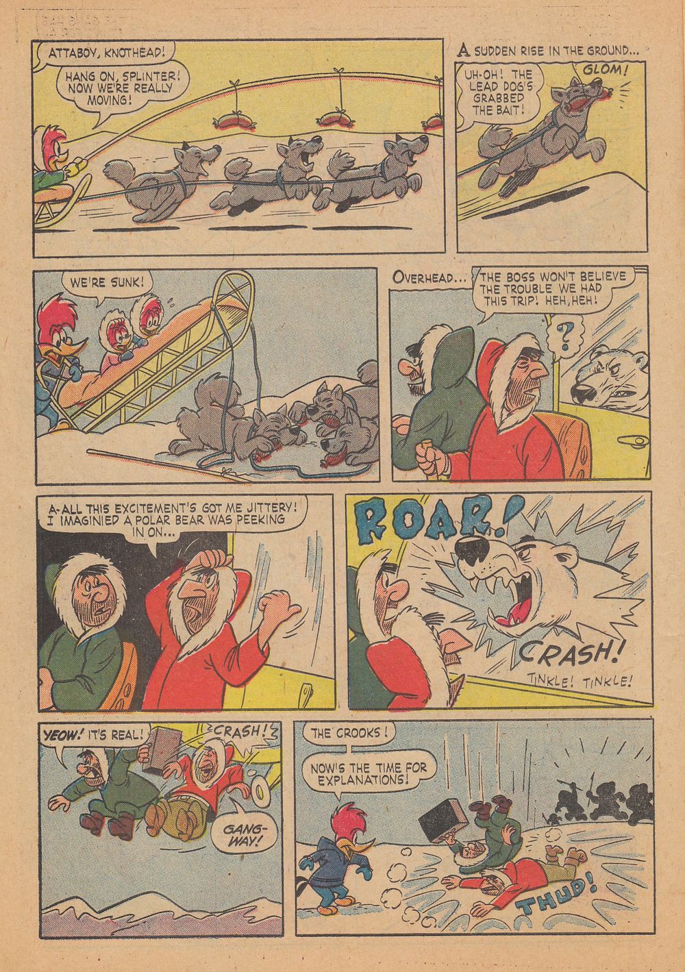 Read online Walter Lantz Woody Woodpecker (1952) comic -  Issue #67 - 14