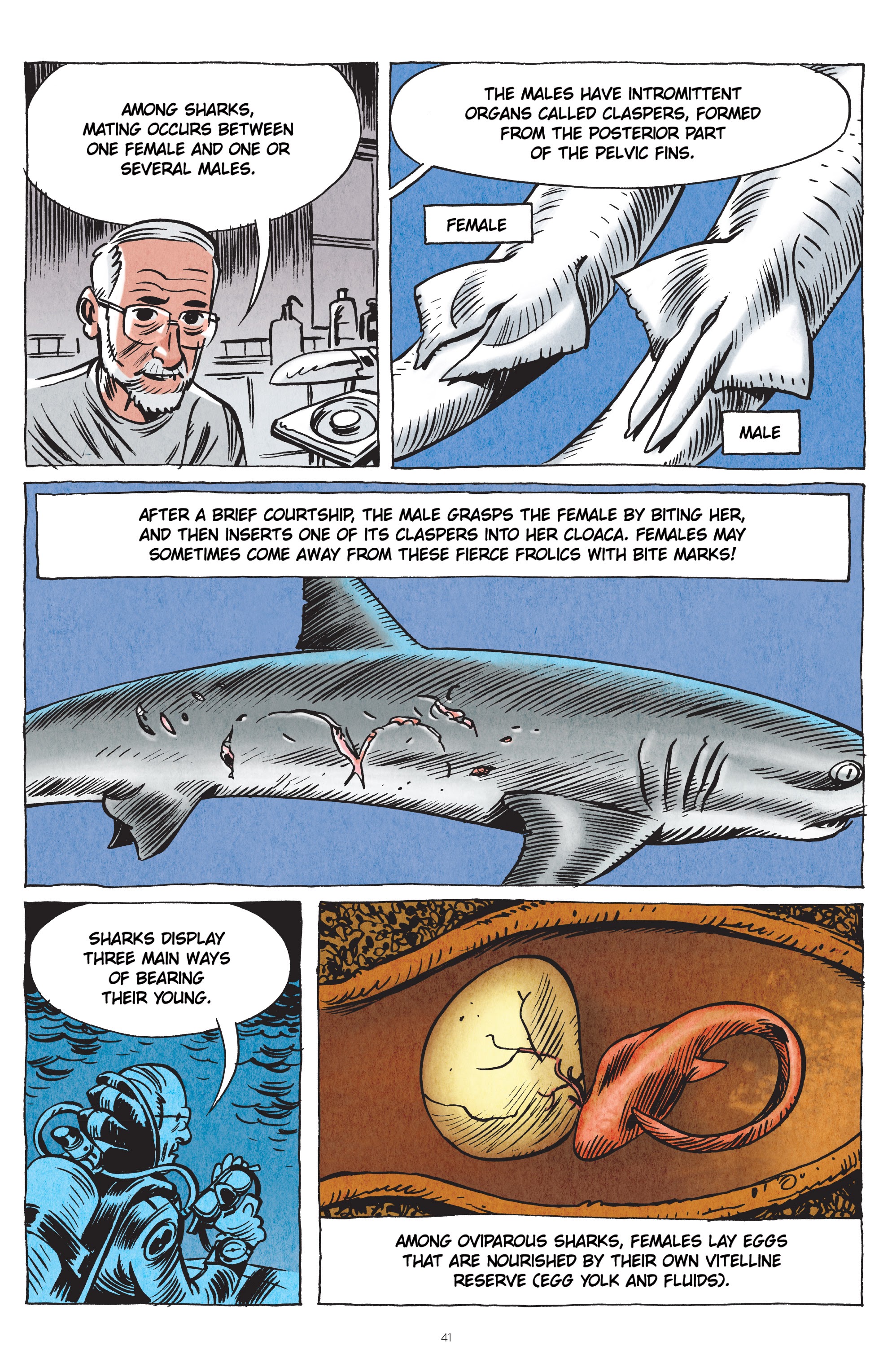 Read online Little Book of Knowledge: Sharks comic -  Issue # TPB - 41