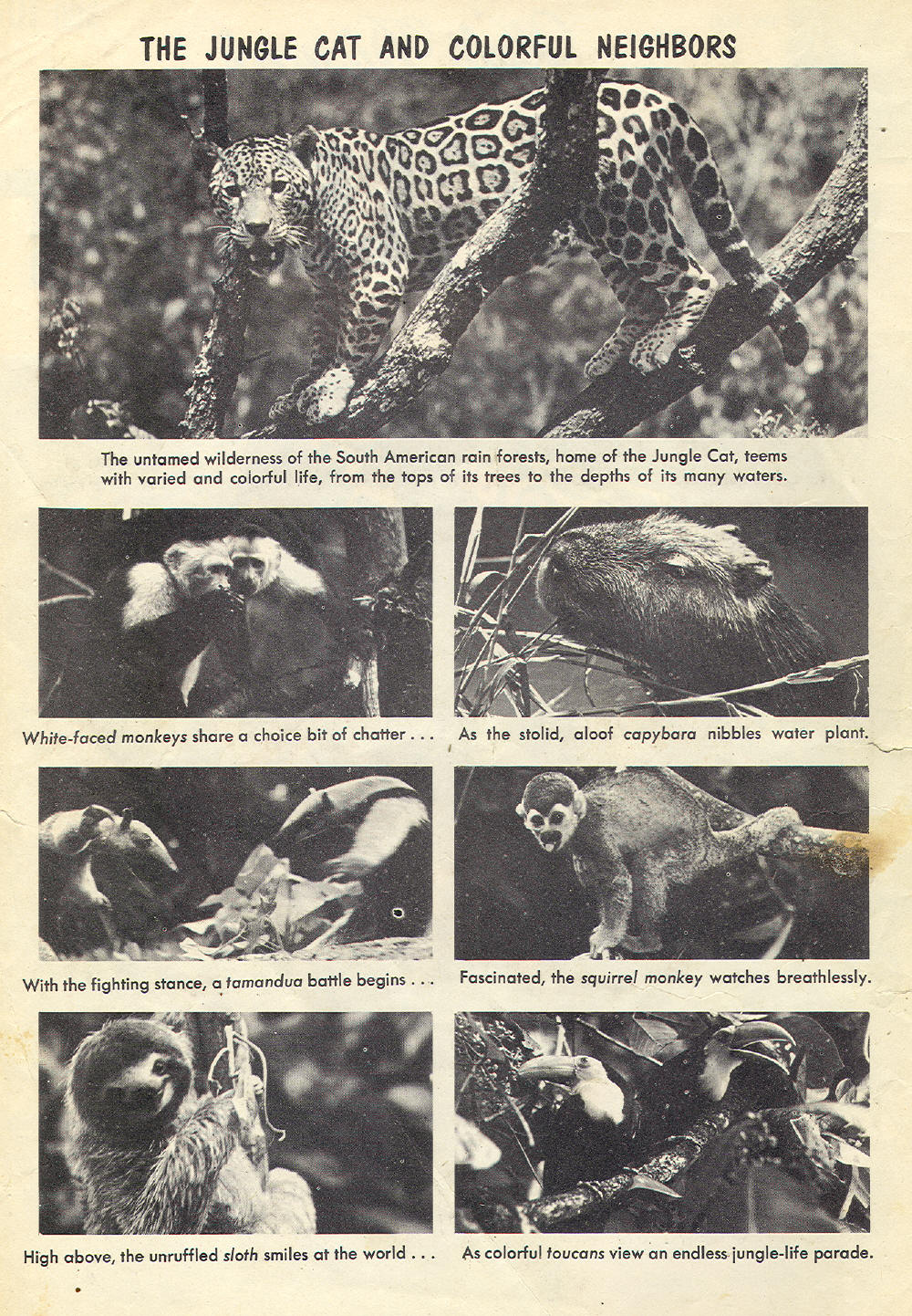 Read online Four Color Comics comic -  Issue #1136 - 2