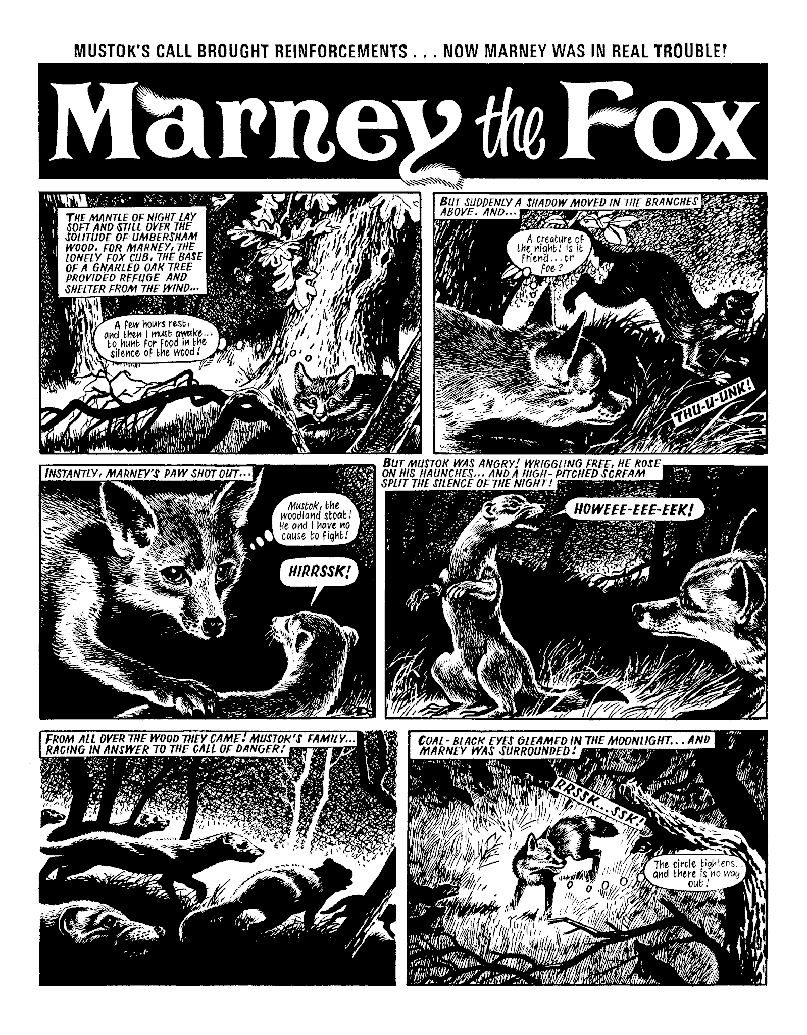 Read online Marney the Fox comic -  Issue # TPB (Part 1) - 35
