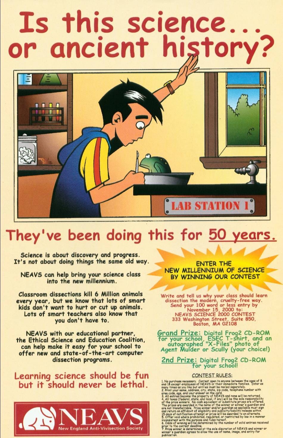 Read online Bart Simpson comic -  Issue #1 - 30