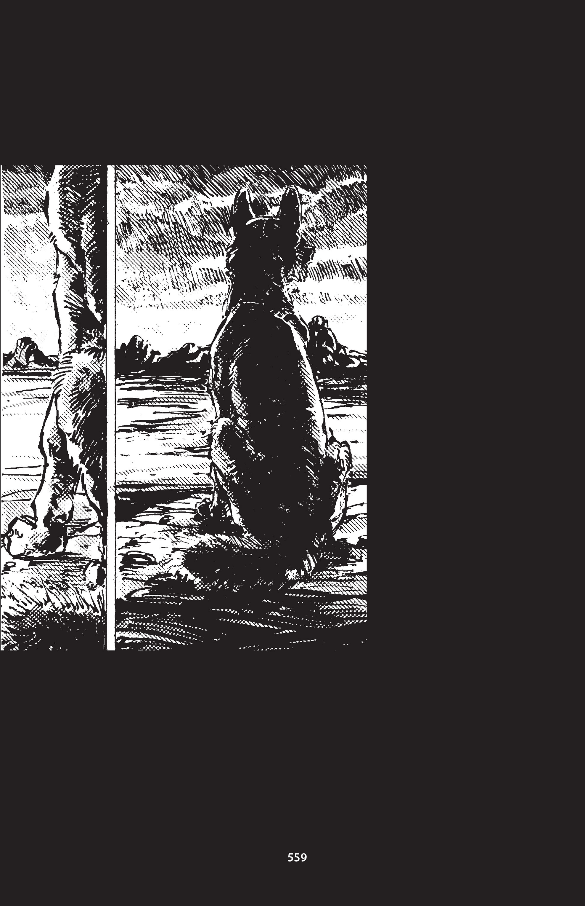 Read online The Puma Blues comic -  Issue # TPB (Part2) - 286