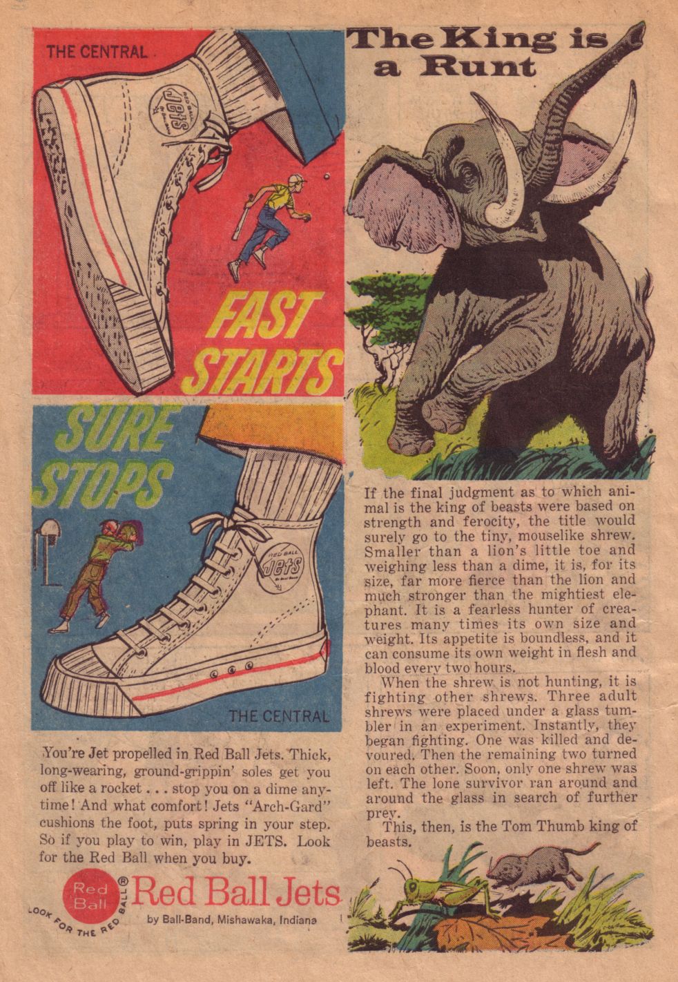 Read online Tarzan (1948) comic -  Issue #131 - 34
