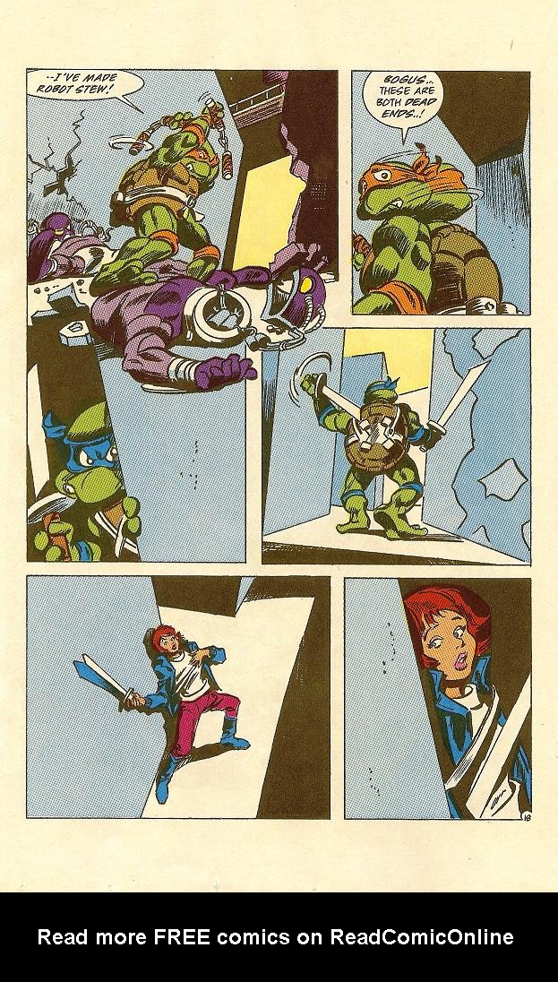 Read online Teenage Mutant Ninja Turtles Adventures (1989) comic -  Issue #22 - 19
