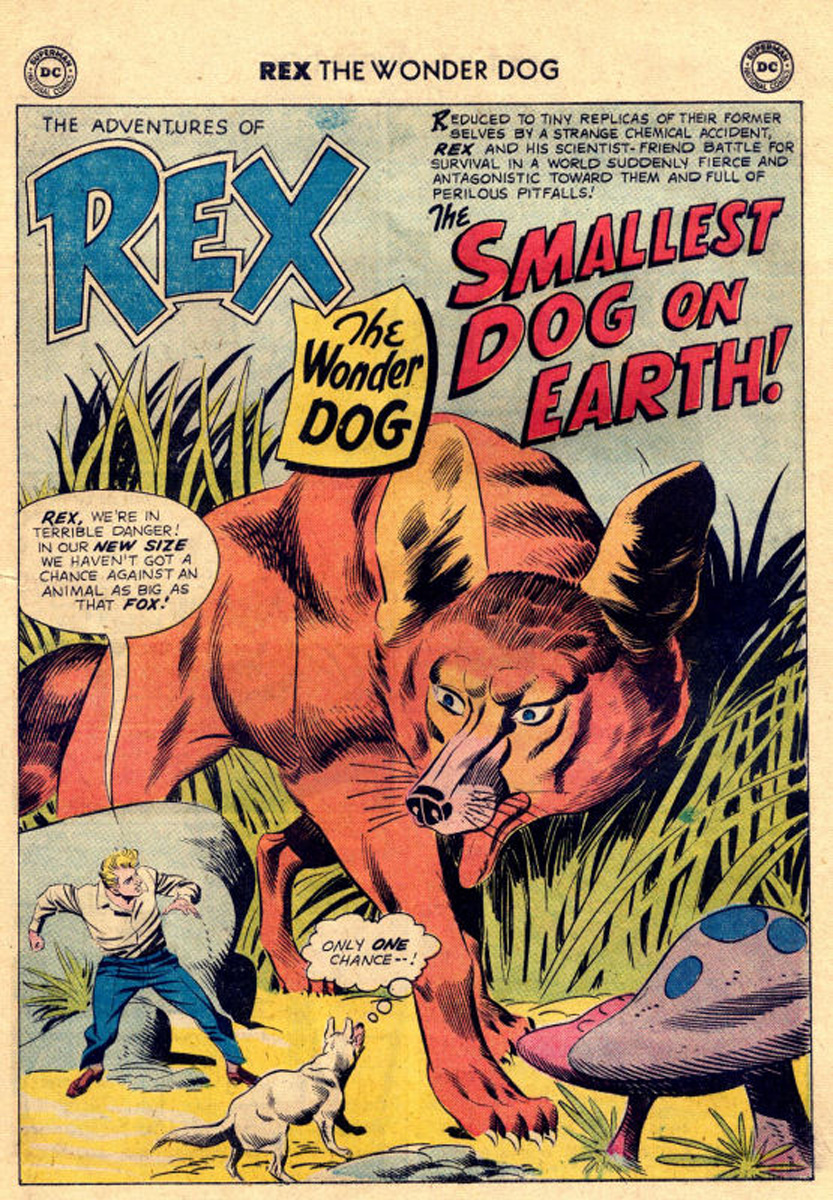 Read online The Adventures of Rex the Wonder Dog comic -  Issue #43 - 25
