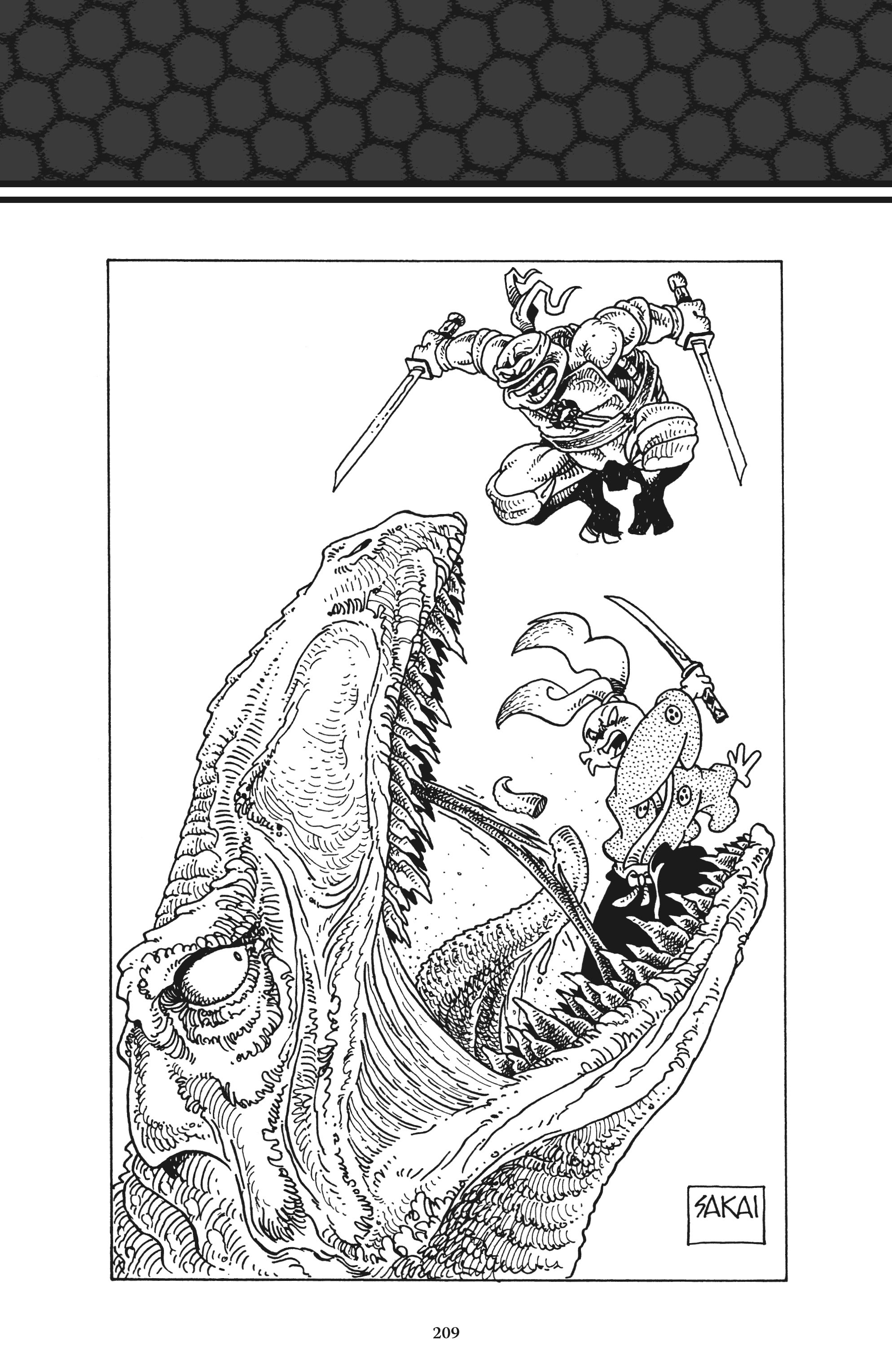 Read online Usagi Yojimbo/Teenage Mutant Ninja Turtles: The Complete Collection comic -  Issue # TPB (Part 2) - 98