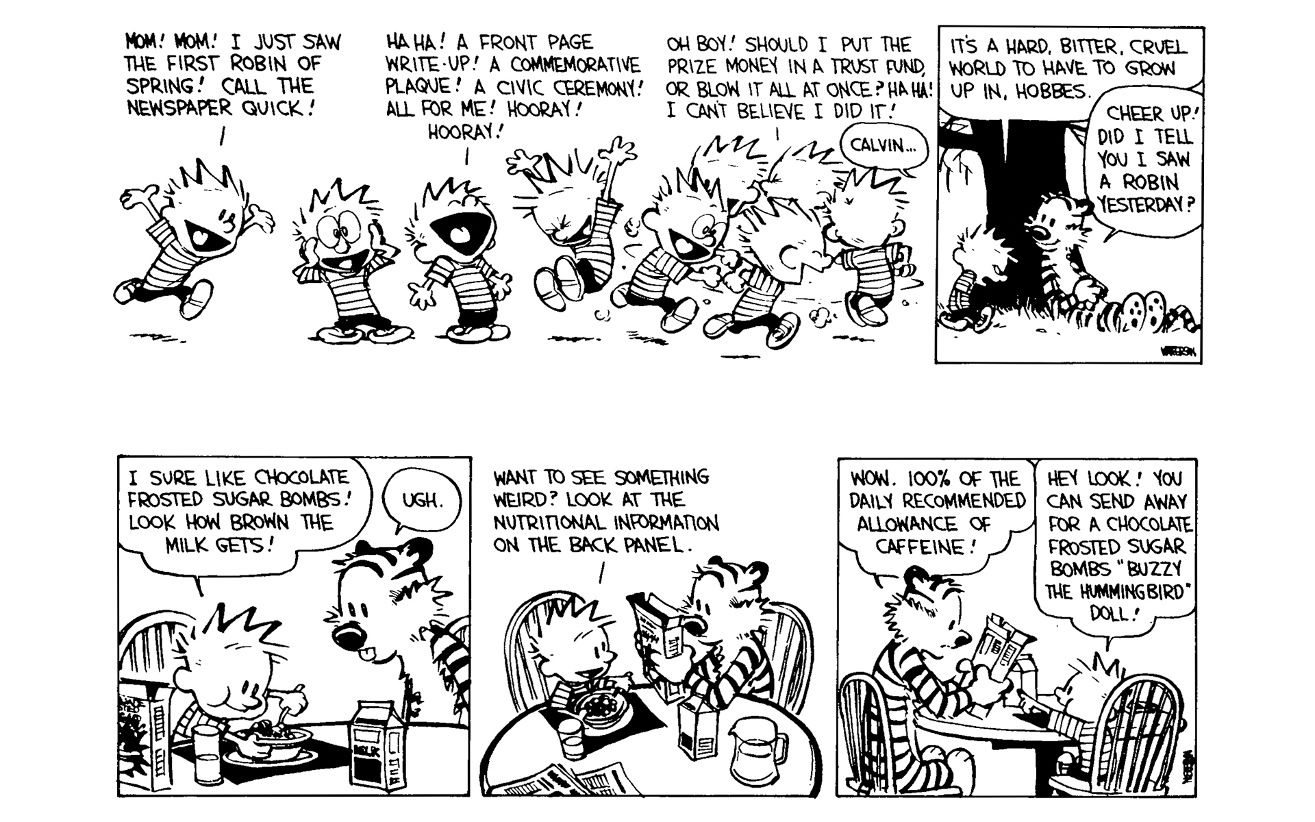 Read online Calvin and Hobbes comic -  Issue #6 - 115
