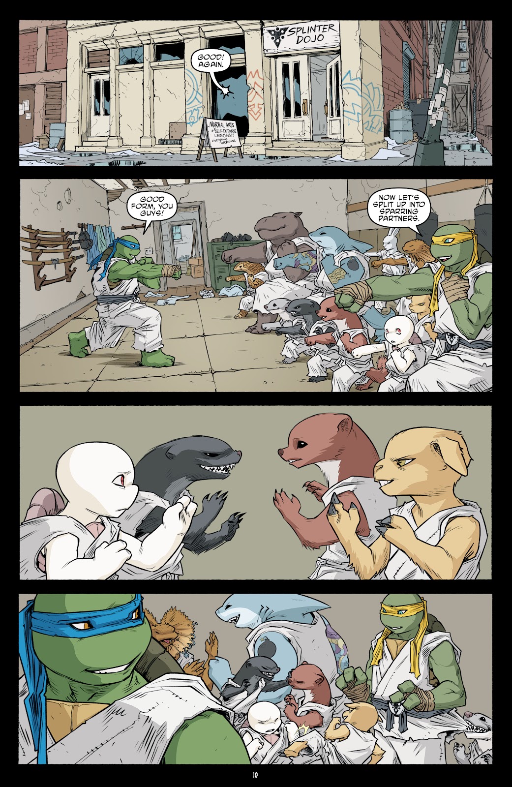 Teenage Mutant Ninja Turtles (2011) issue 105 - Page 12