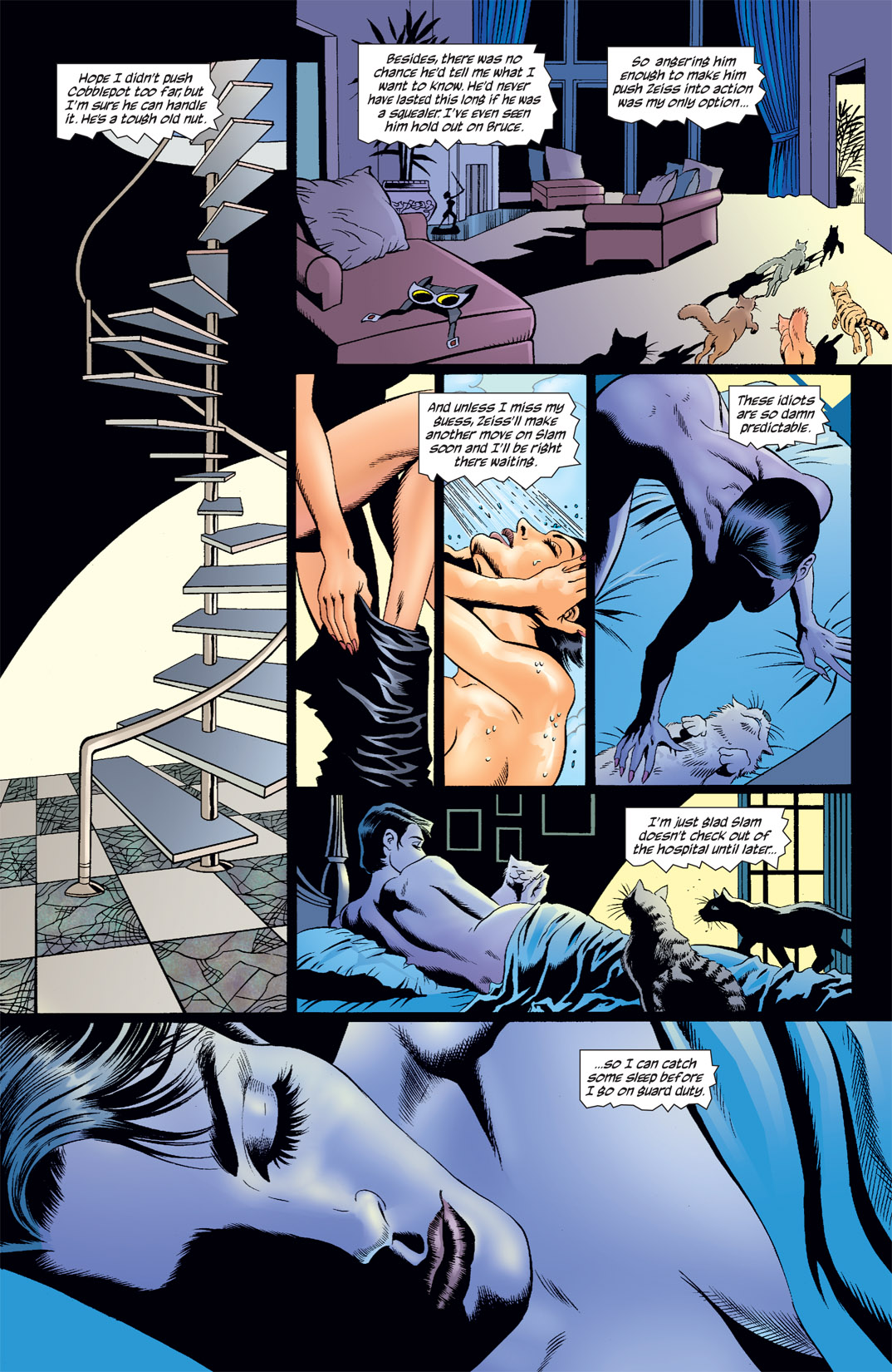Read online Catwoman (2002) comic -  Issue #28 - 8