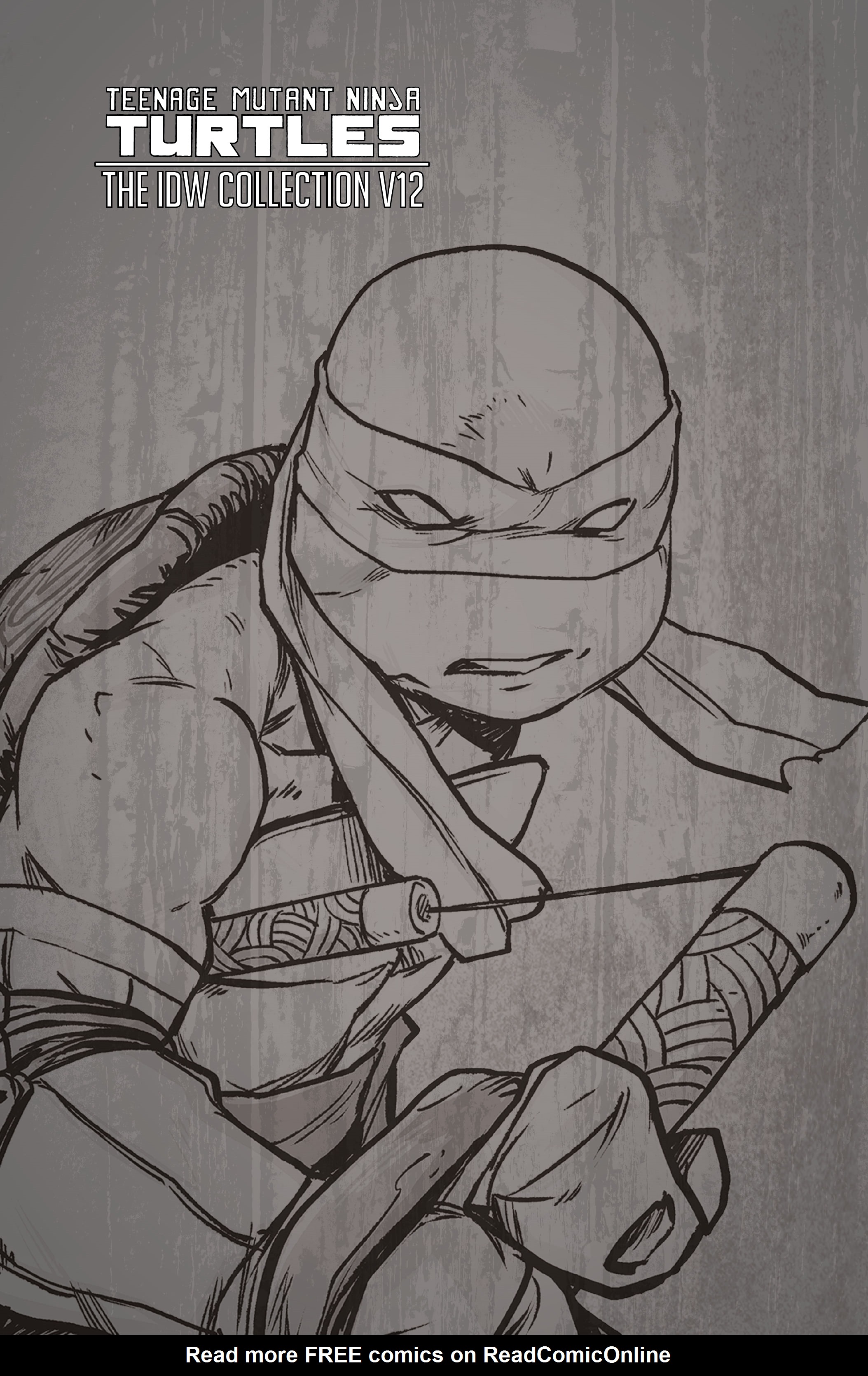 Read online Teenage Mutant Ninja Turtles: The IDW Collection comic -  Issue # TPB 12 (Part 1) - 2