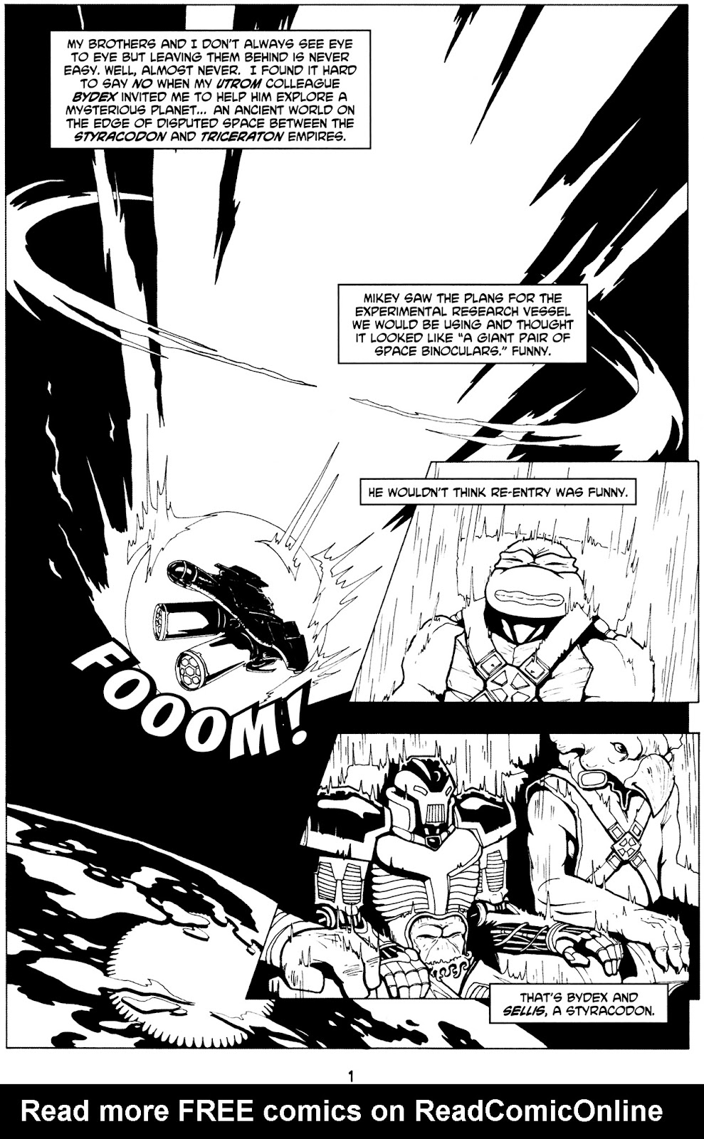 Tales of the TMNT issue 29 - Page 5